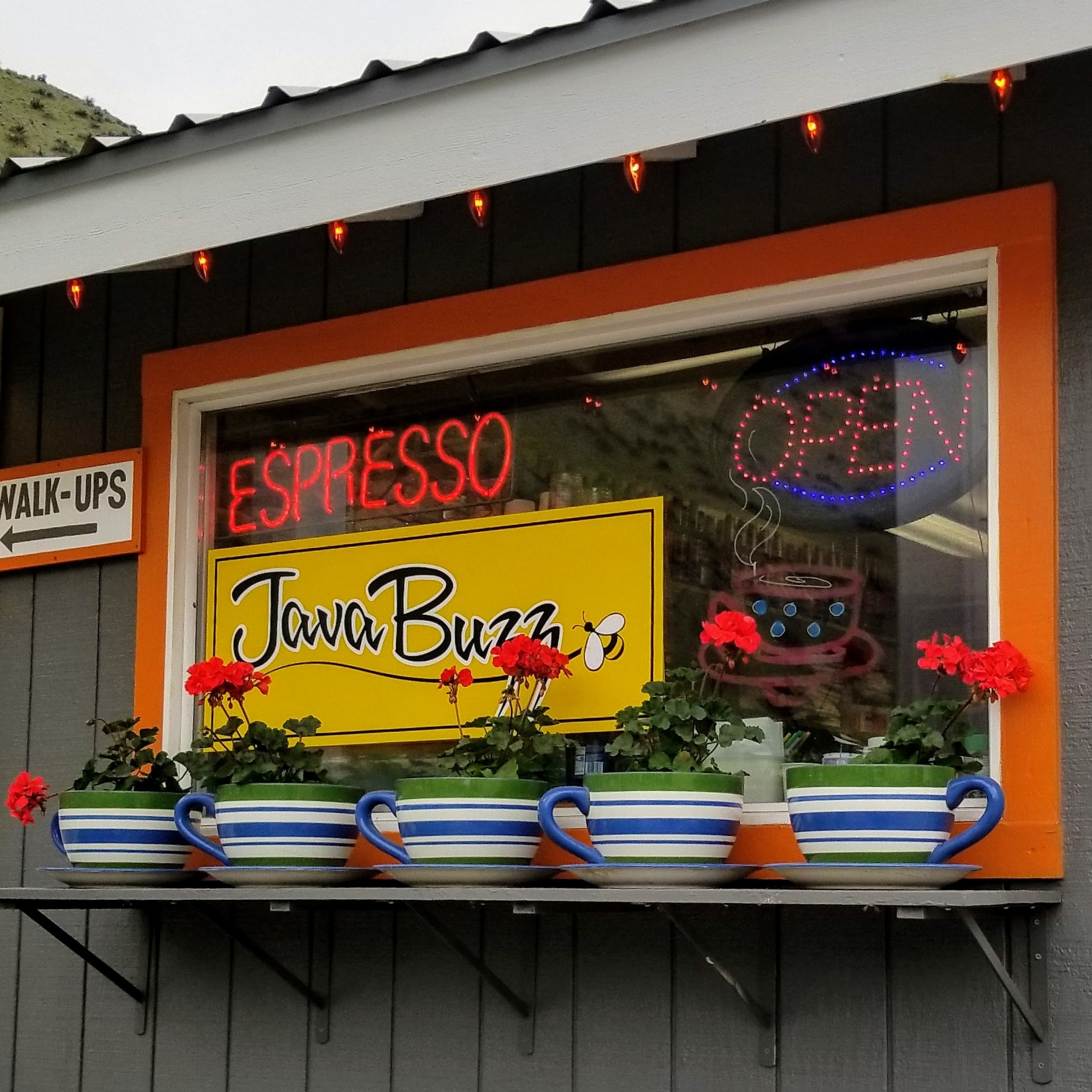 Java Buzz Cashmere