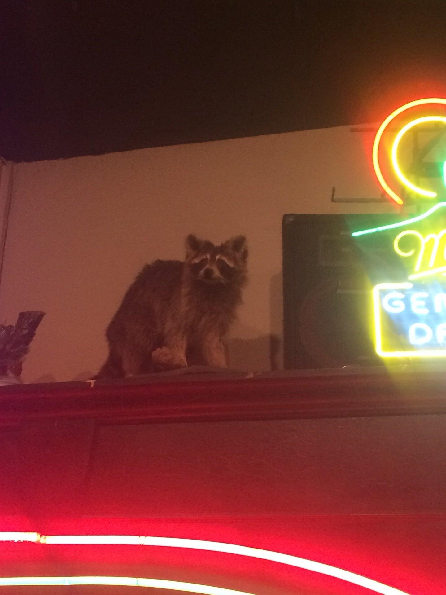 Photo credit: nextdoor