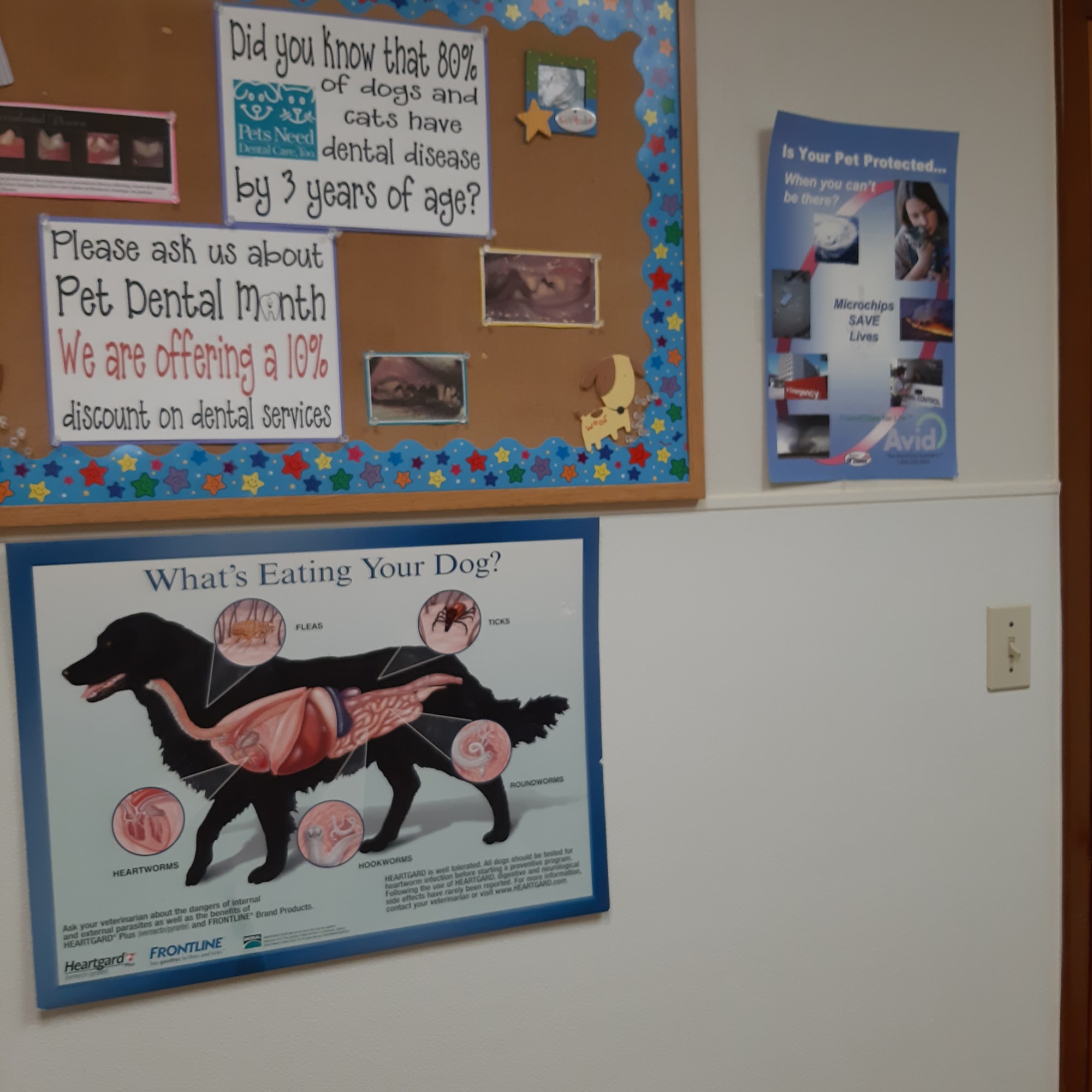 Dr. Remund DVM Centralia