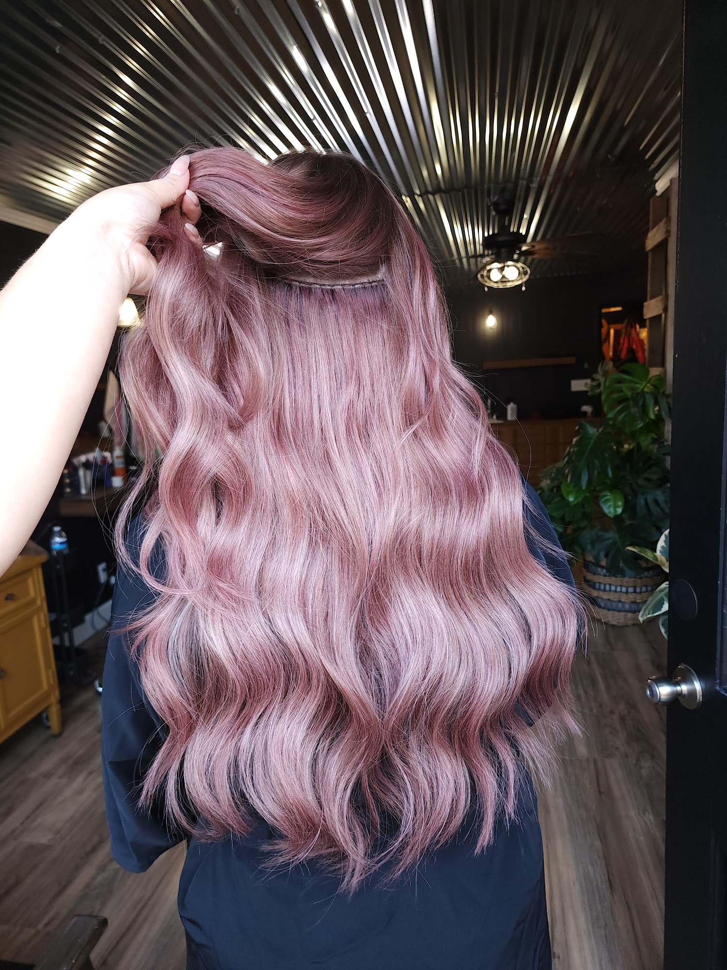 Untamed | The Studio