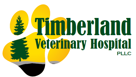 Timberland Veterinary Hospital Chehalis