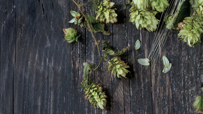 Jones Creek Brewing Chehalis