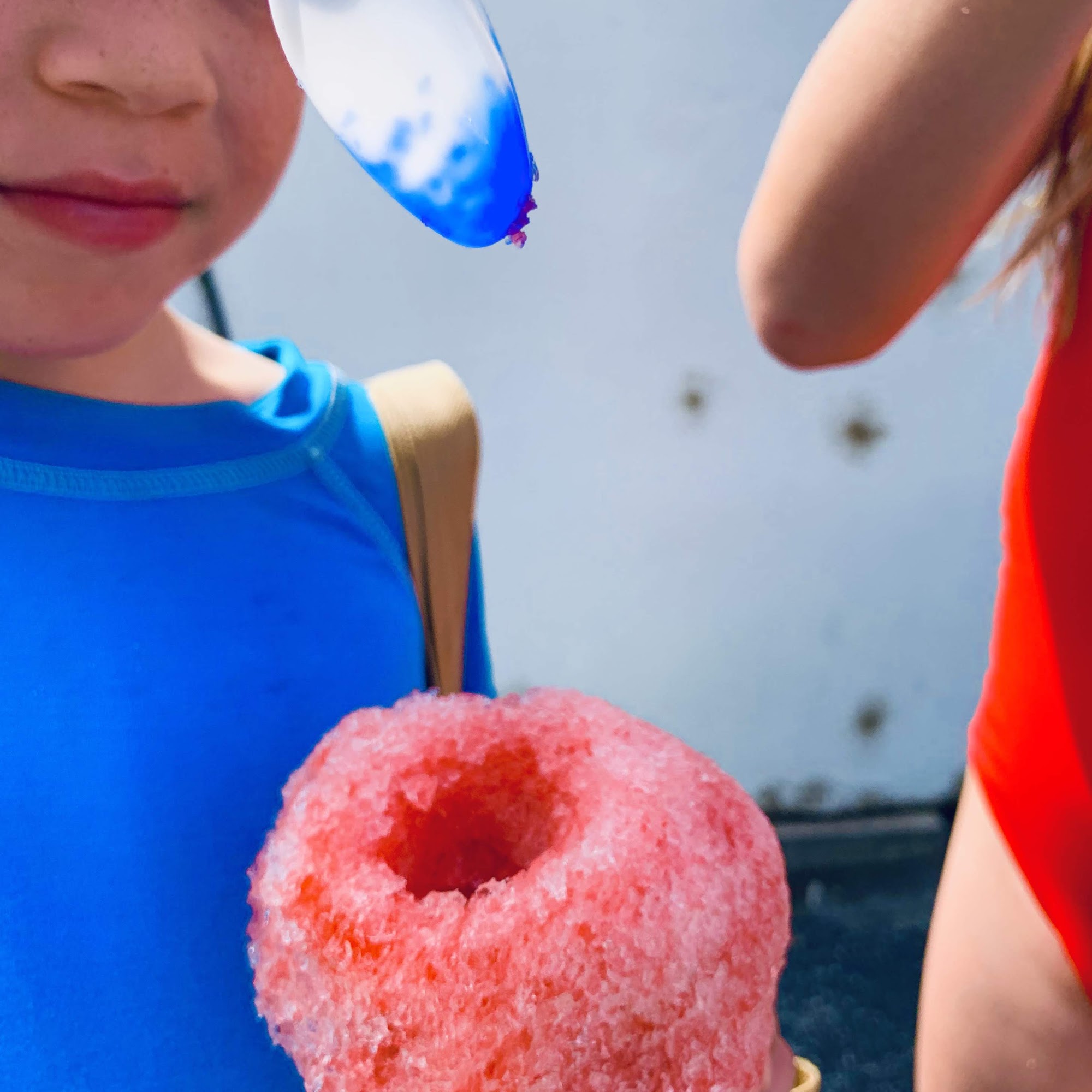 Tropical Sno Chelan