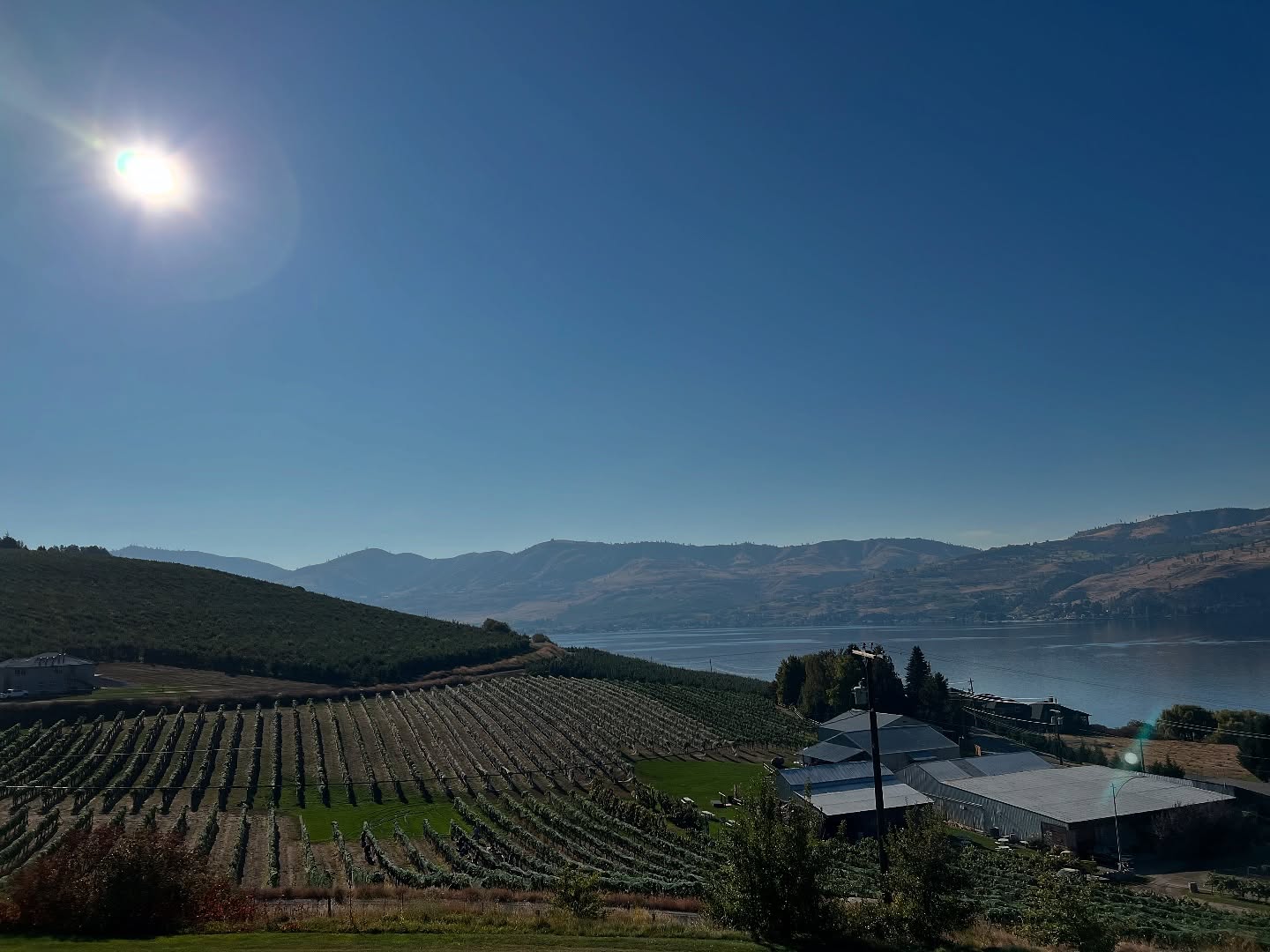 Chelan wine company Chelan