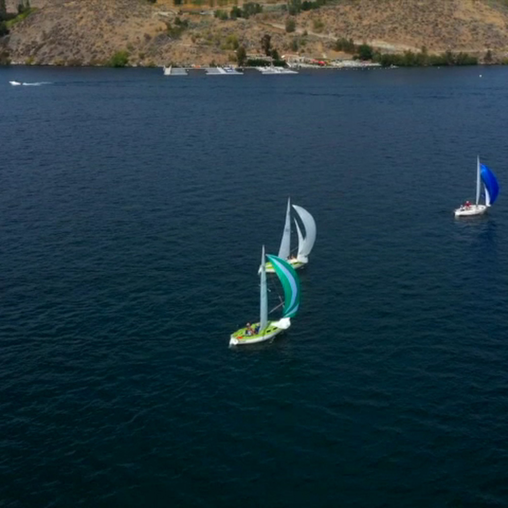 Mellisoni Vineyards Chelan