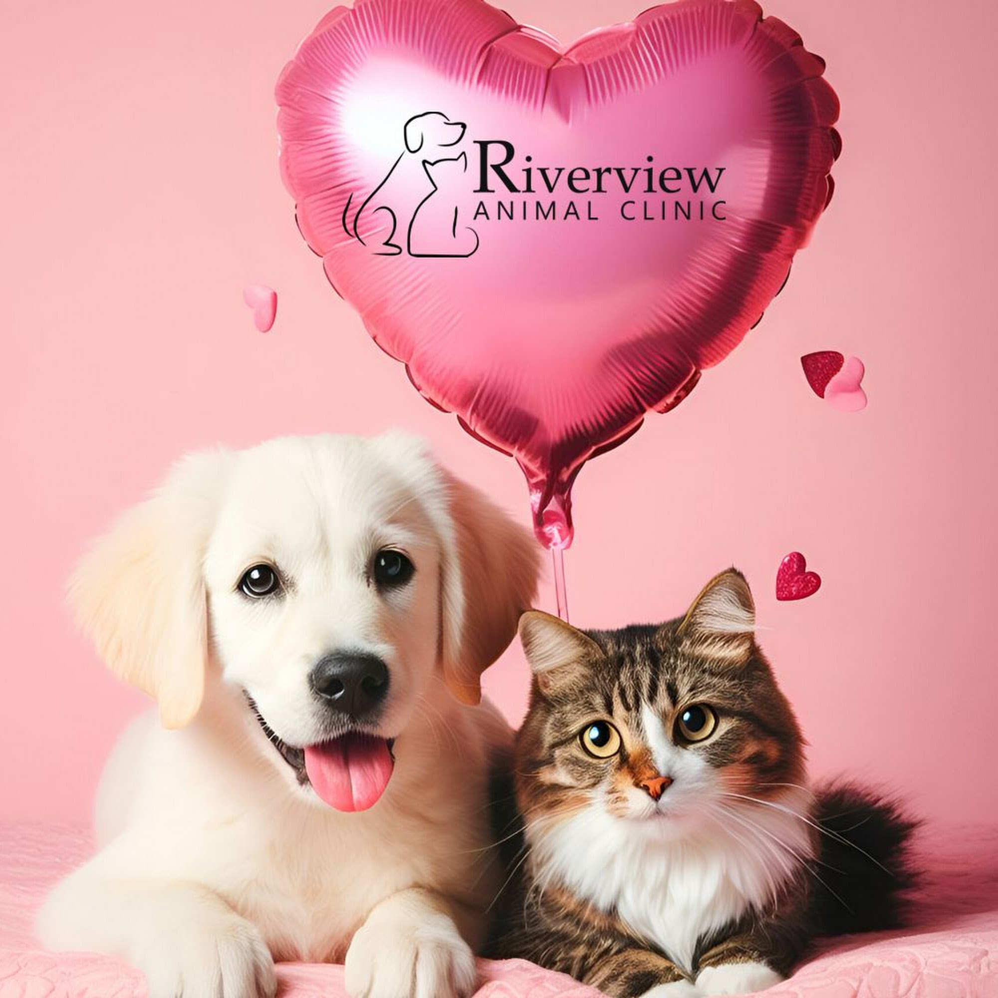 Riverview Animal Clinic Clarkston