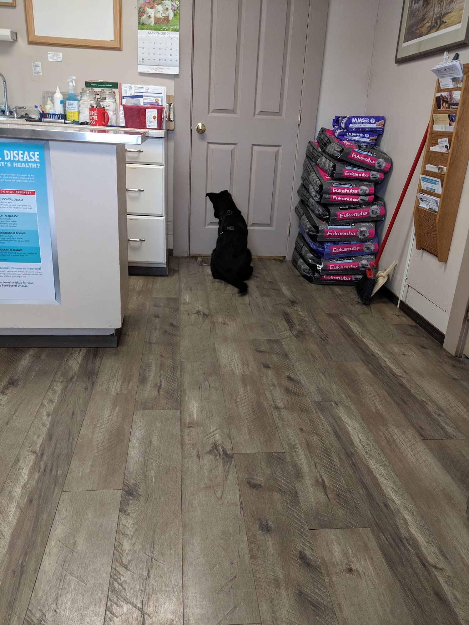 Cascade East Animal Clinic Cle Elum