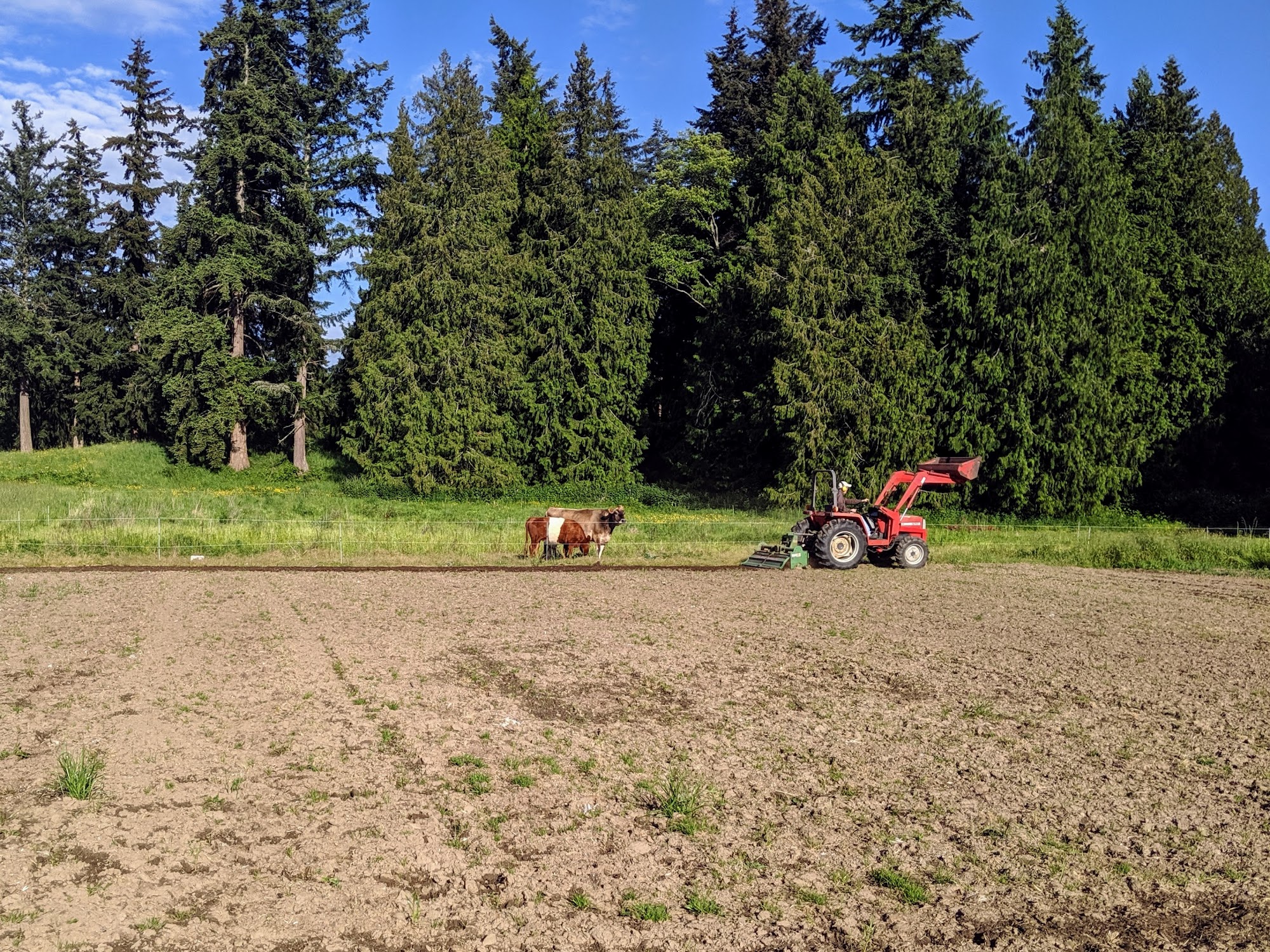 Ballydídean Farm Sanctuary Clinton