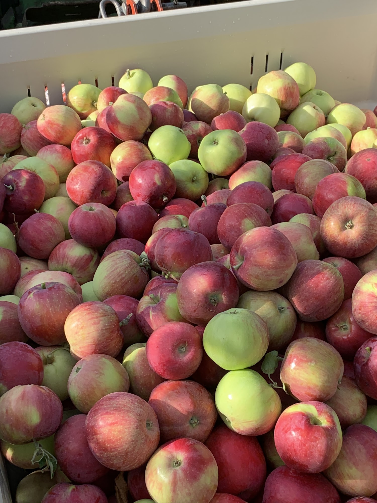 Hansen's Green Bluff Orchard LLC Colbert