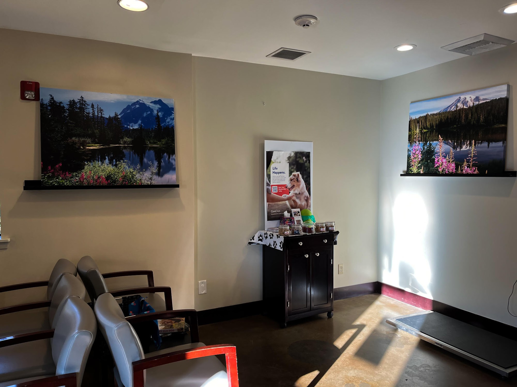 VCA Covington Animal Hospital Covington