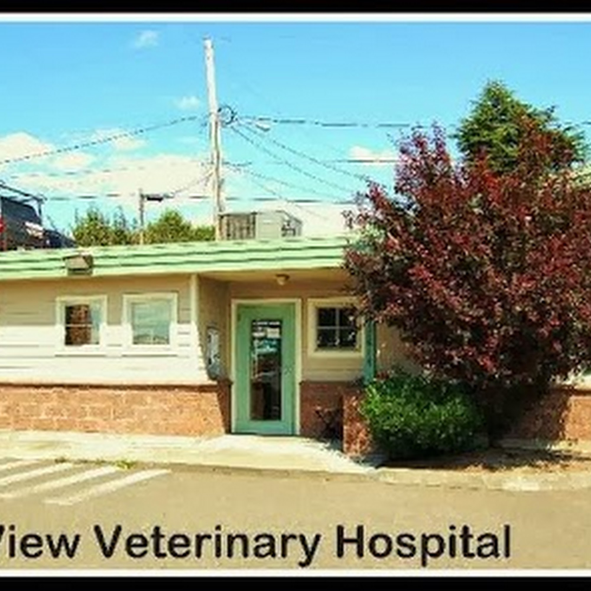 Marine View Veterinary Hospital Des Moines