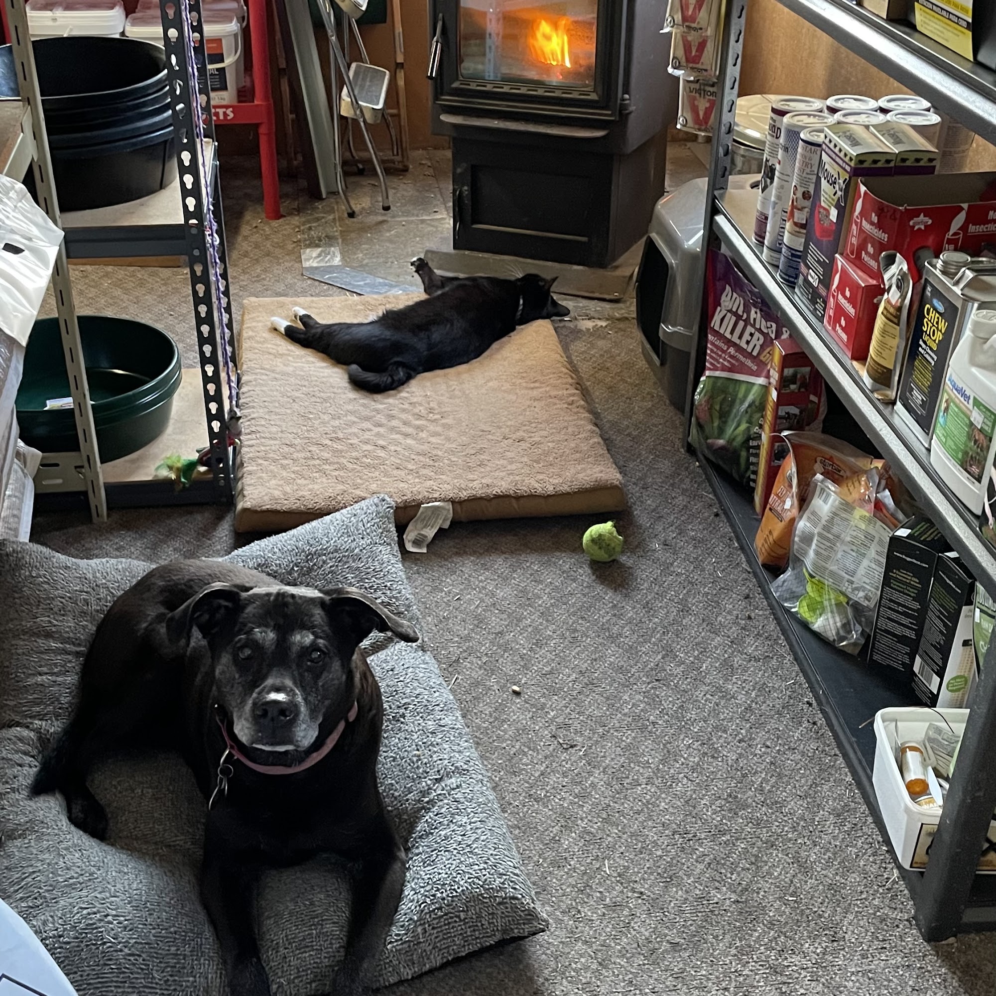 Rocking E Feeds Duvall