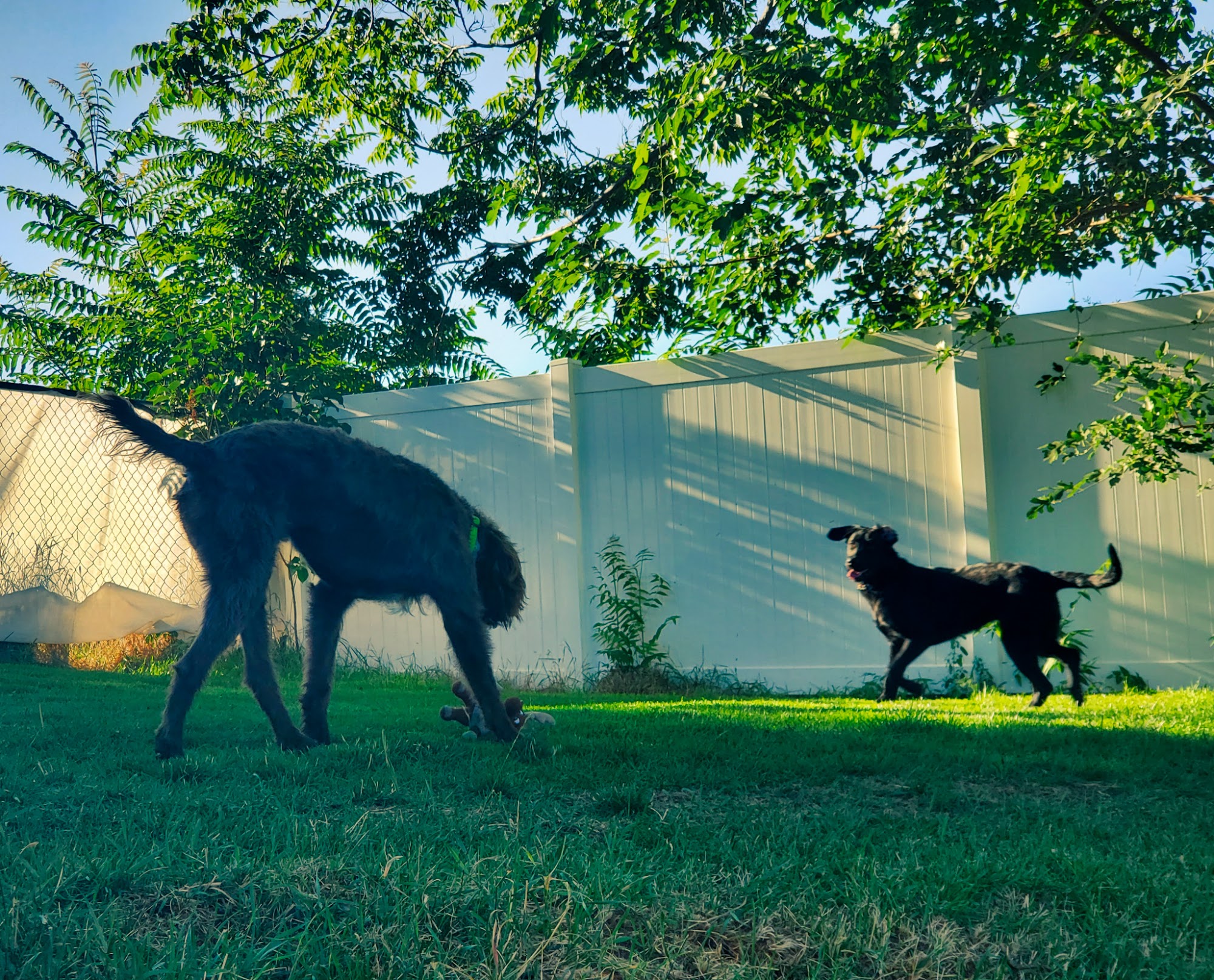 Loving Paws East Wenatchee