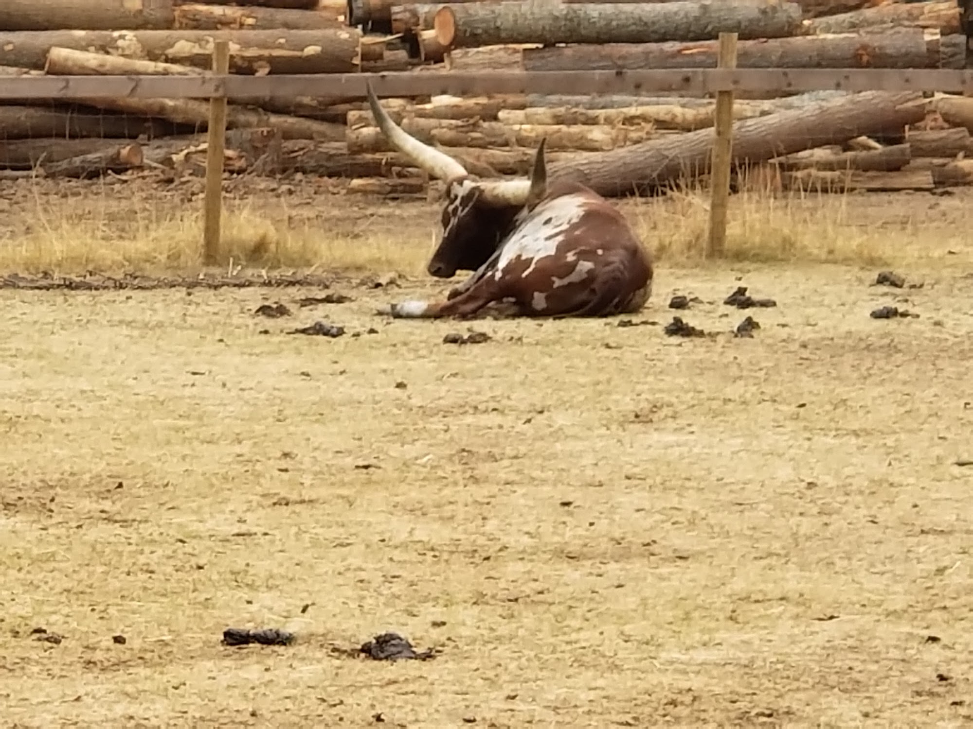 Black Dog Farm Eastsound