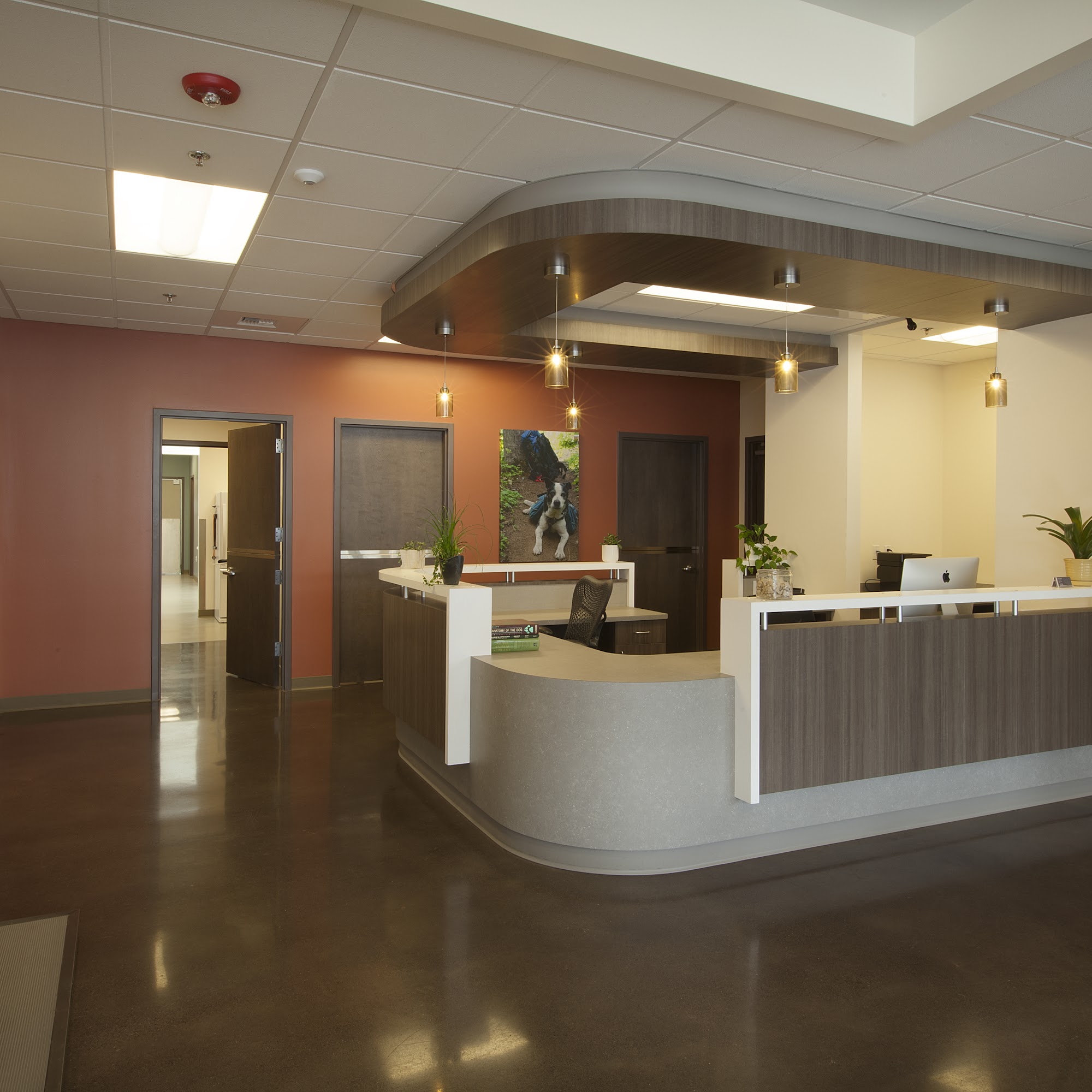 Fifth Avenue Animal Hospital Edmonds