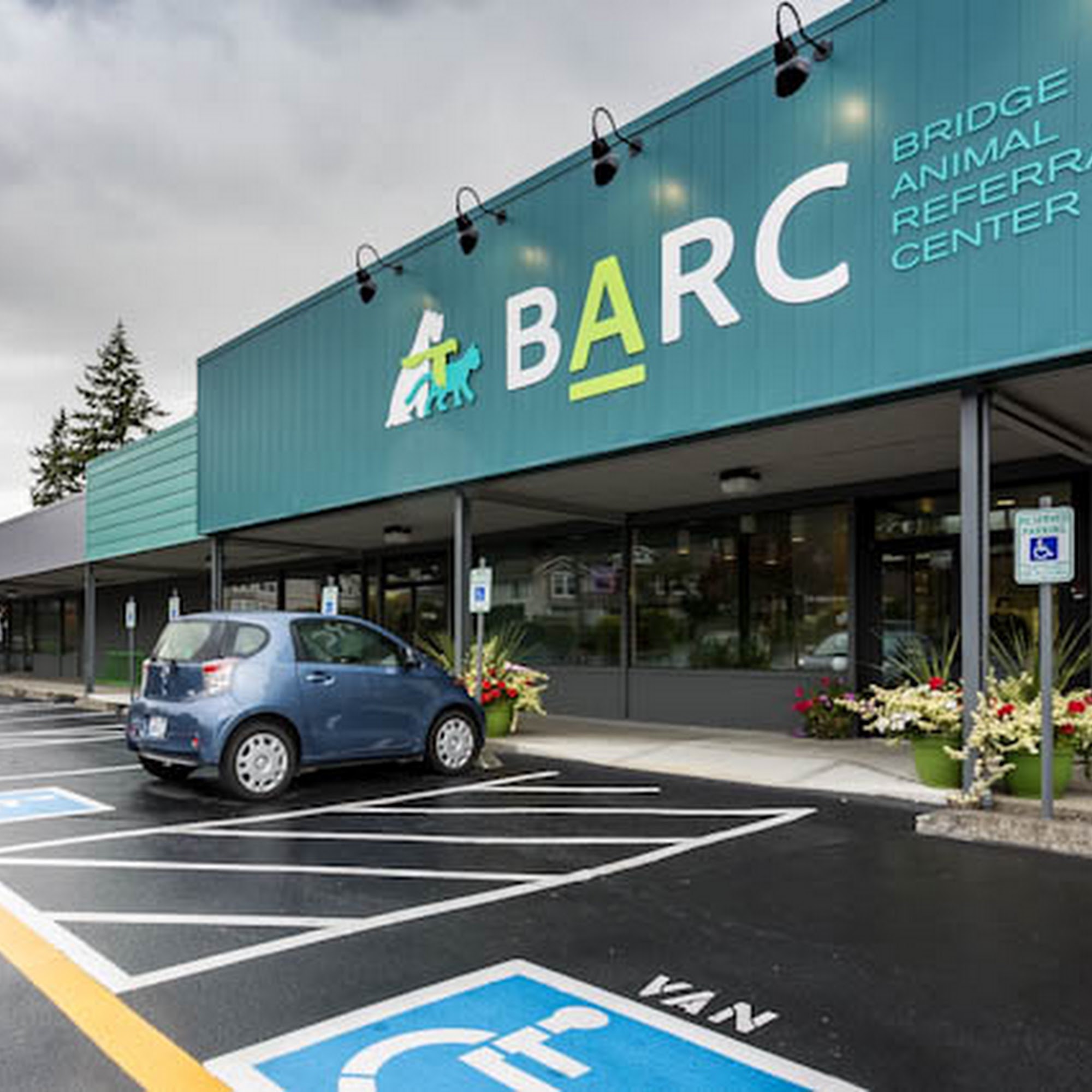 Veterinary Cancer Specialty Care @ Bridge Animal Referral Center Edmonds