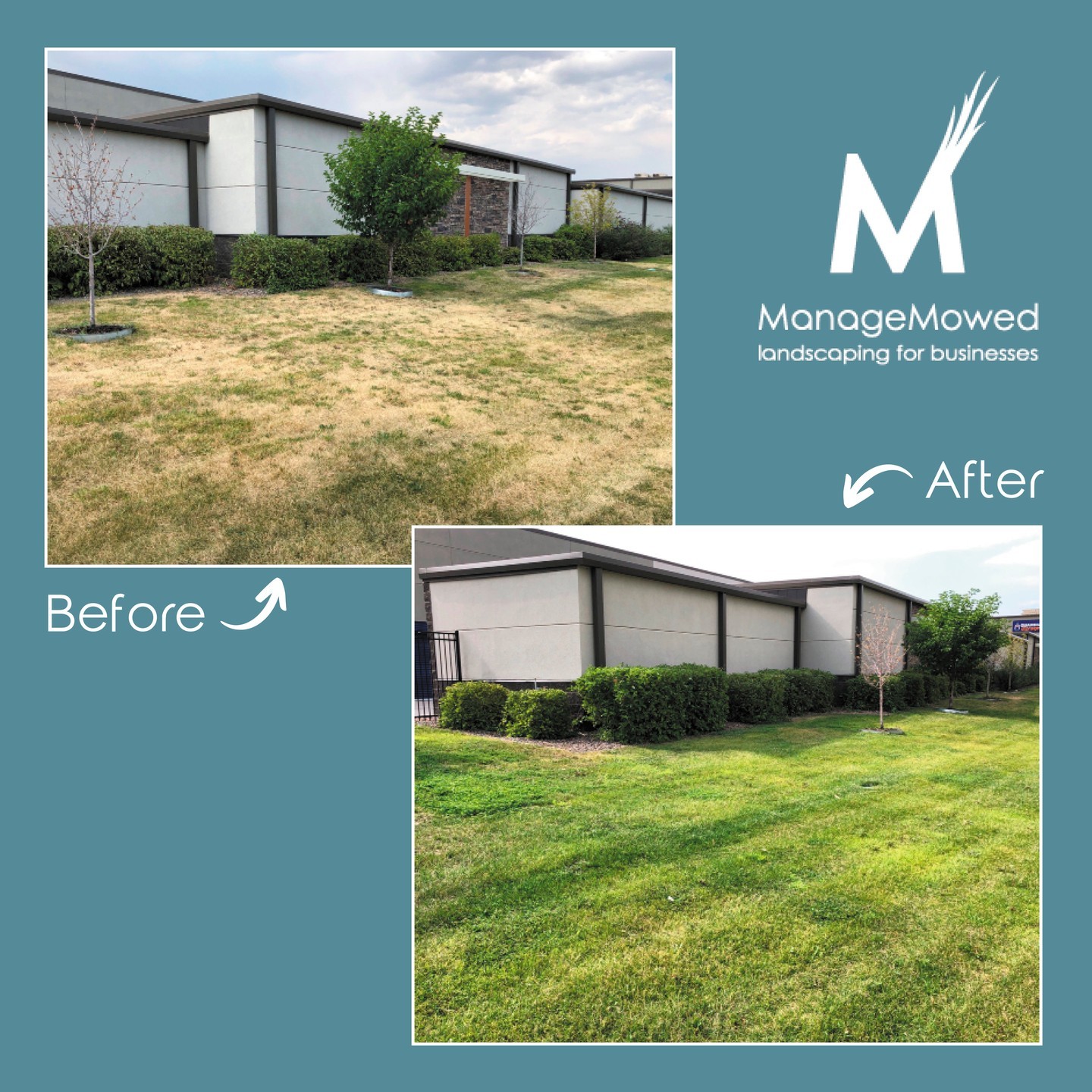ManageMowed Landscape Management