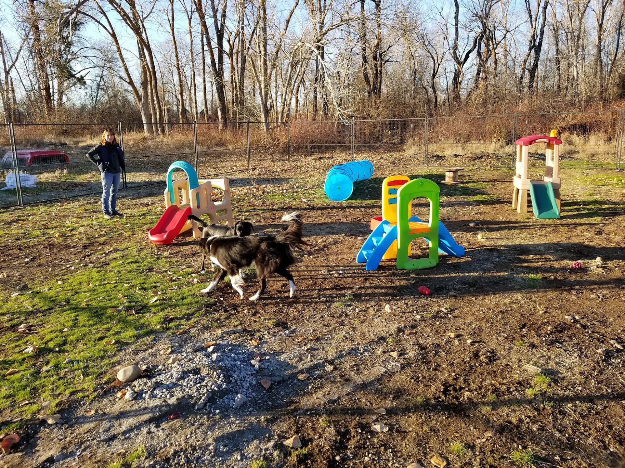 Ellensburg Kennels Ellensburg