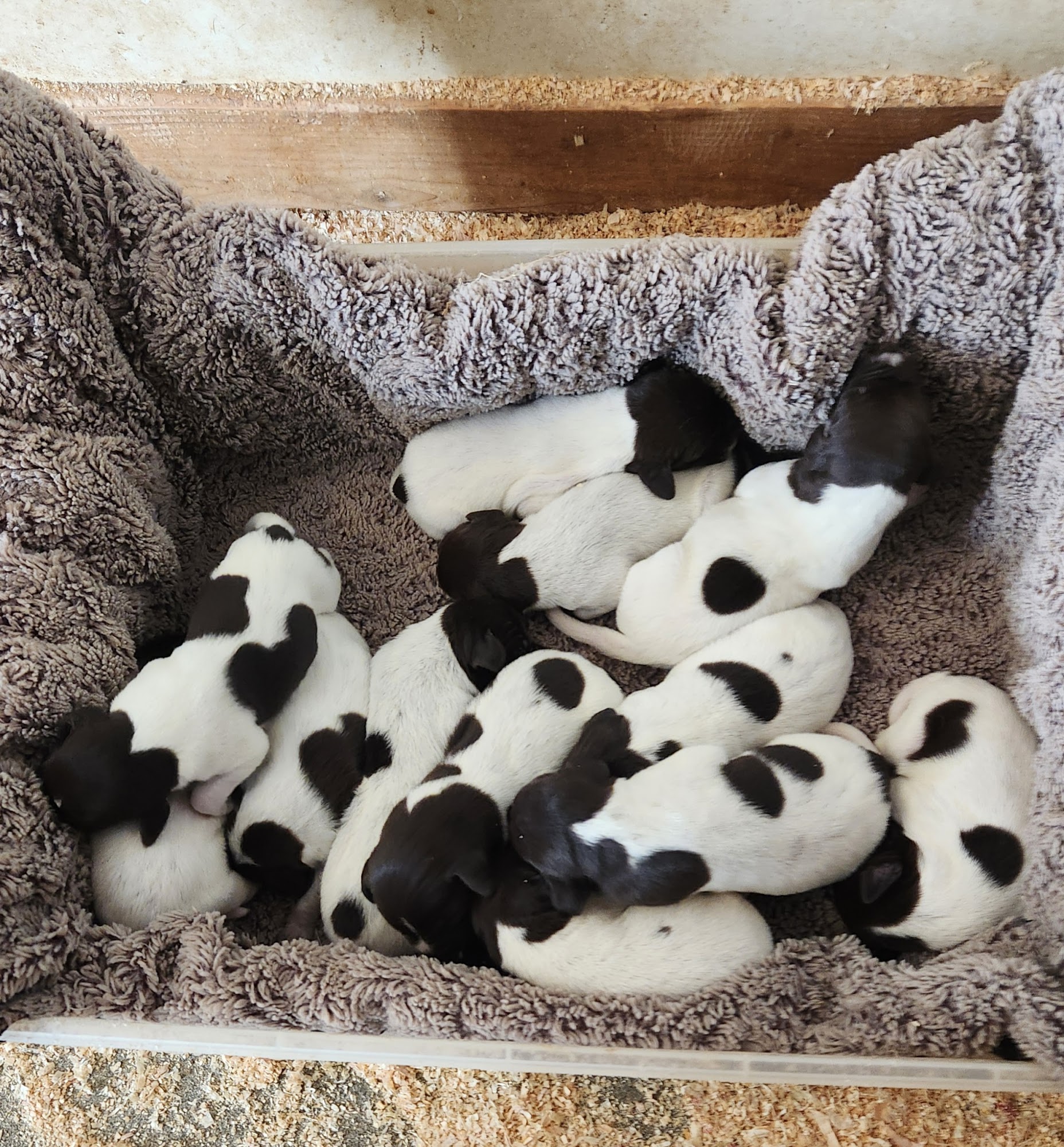 Cooke Canyon Hunt Club Ellensburg