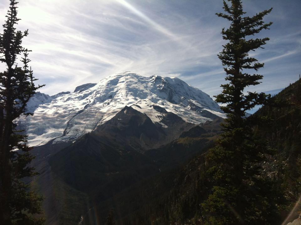 Sea of QI Acupuncture
