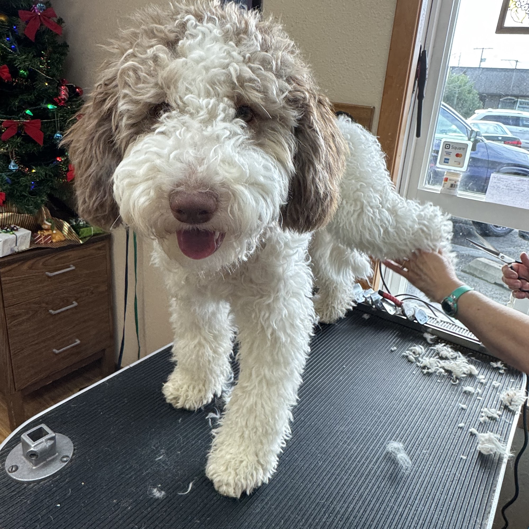 April's Pet Salon Enumclaw