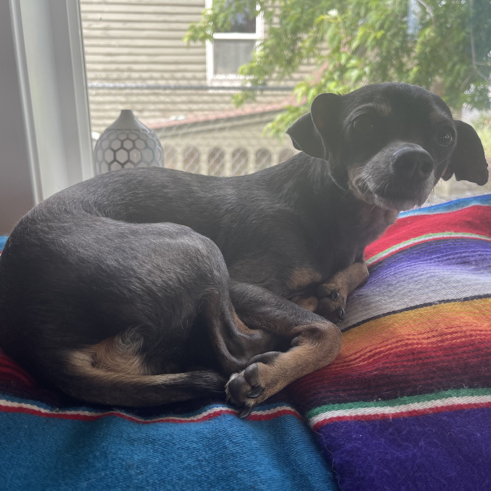 Ephrata Veterinary Clinic, PS Ephrata