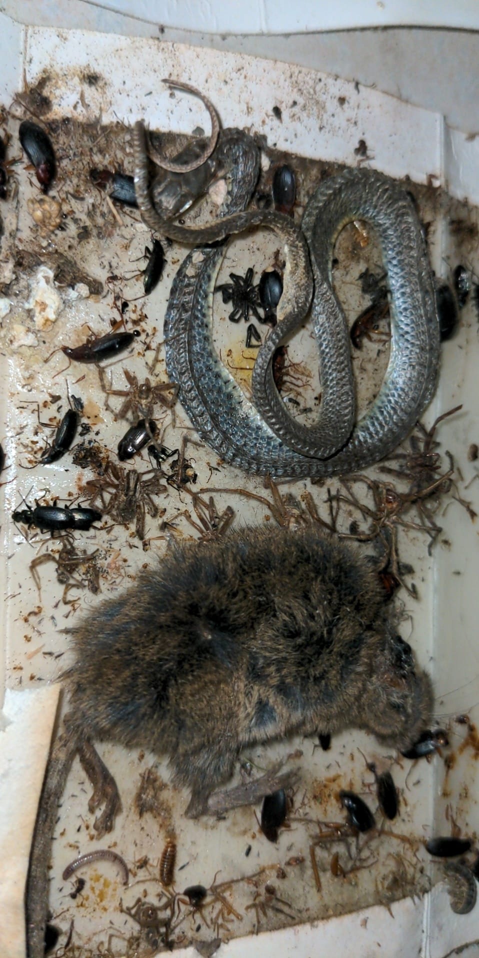 Bishop Spray Services Inc