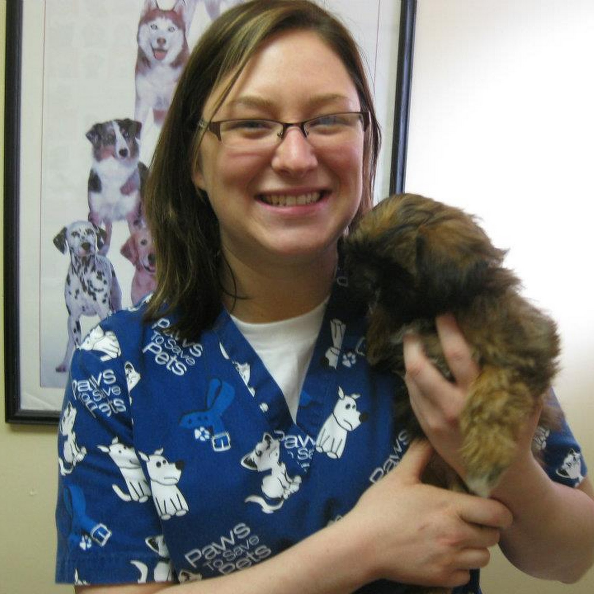 Everett Veterinary Hospital Everett