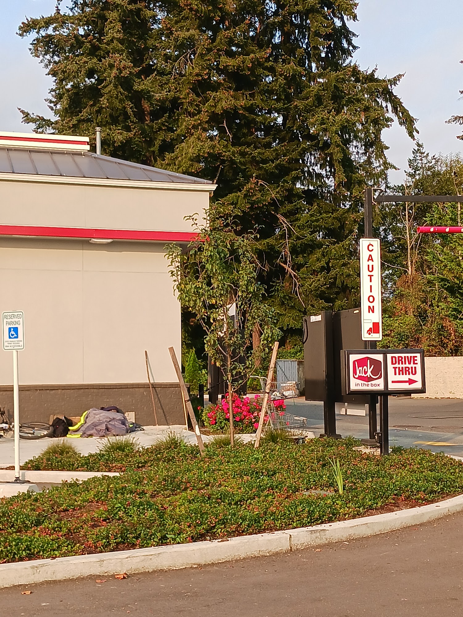 Jack in the Box