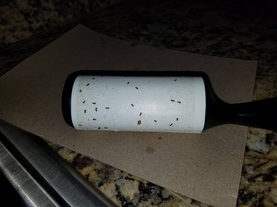 ProTech Pest Control & Insulation