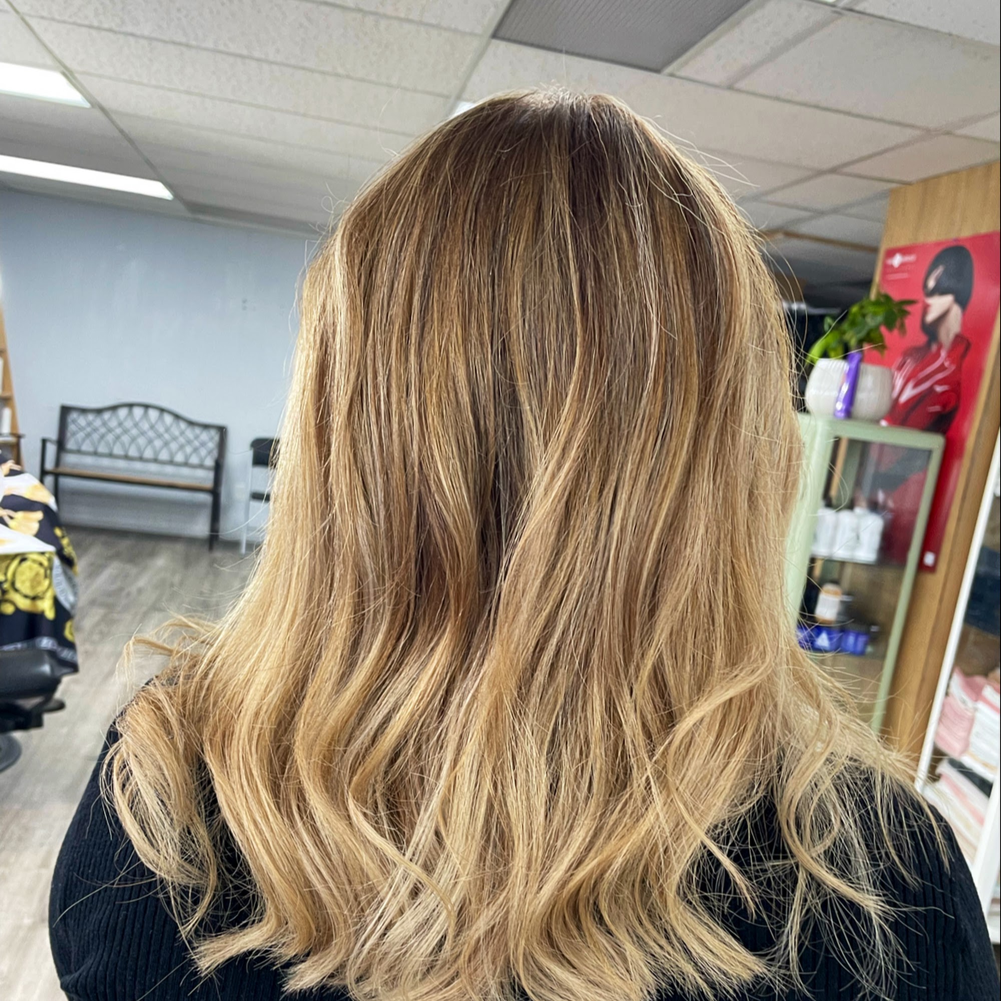 BarbyLaras BarberShop and Distribution Beauty Supply 9210 Evergreen Wy, Everett Washington 98204