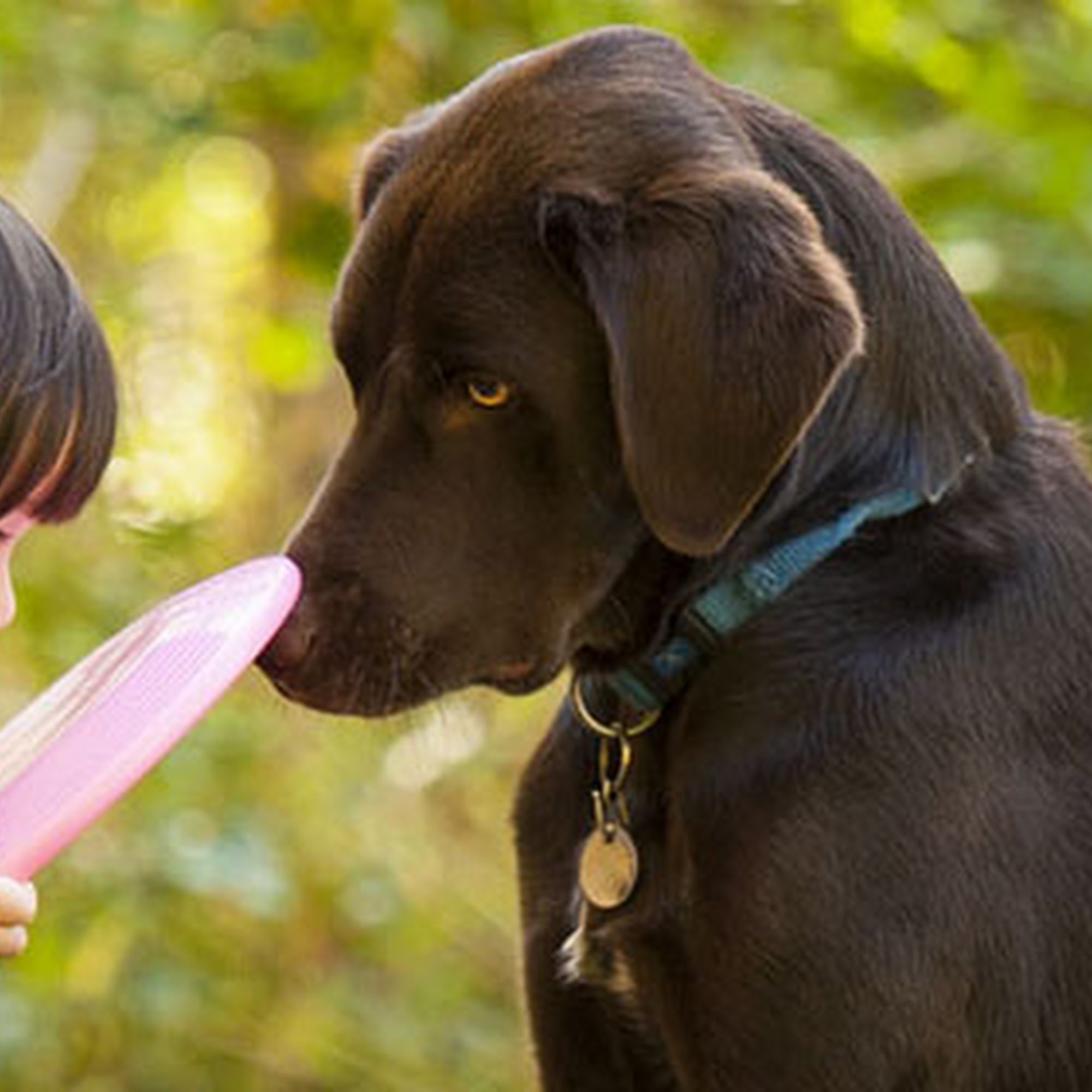 Snoqualmie Valley Animal Hospital Fall City