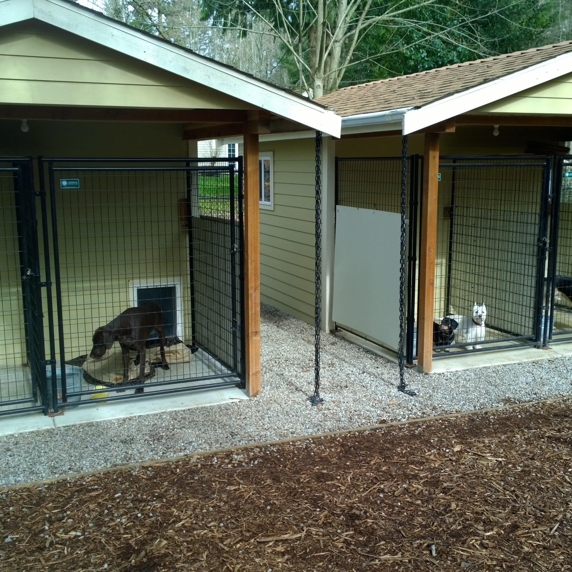 Pioneer K-9 Kennels Federal Way