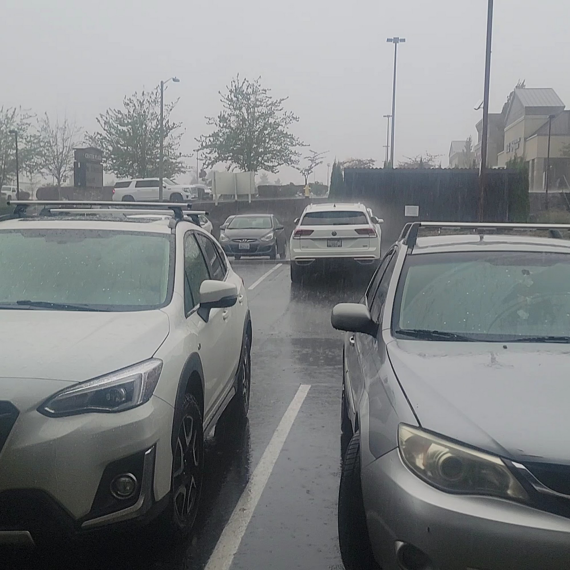 Community Pet Clinic Federal Way