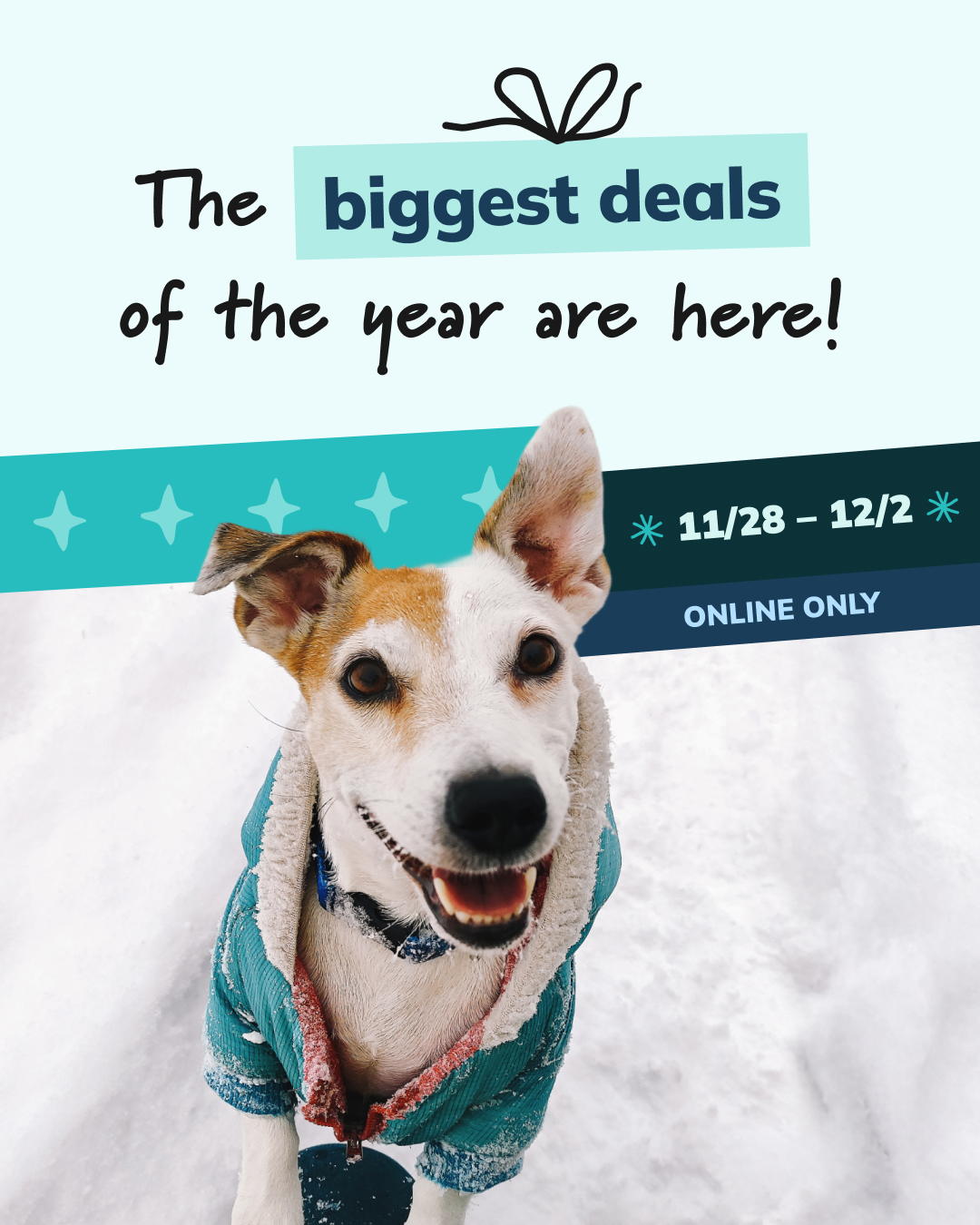 Kulshan Veterinary Hospital Ferndale