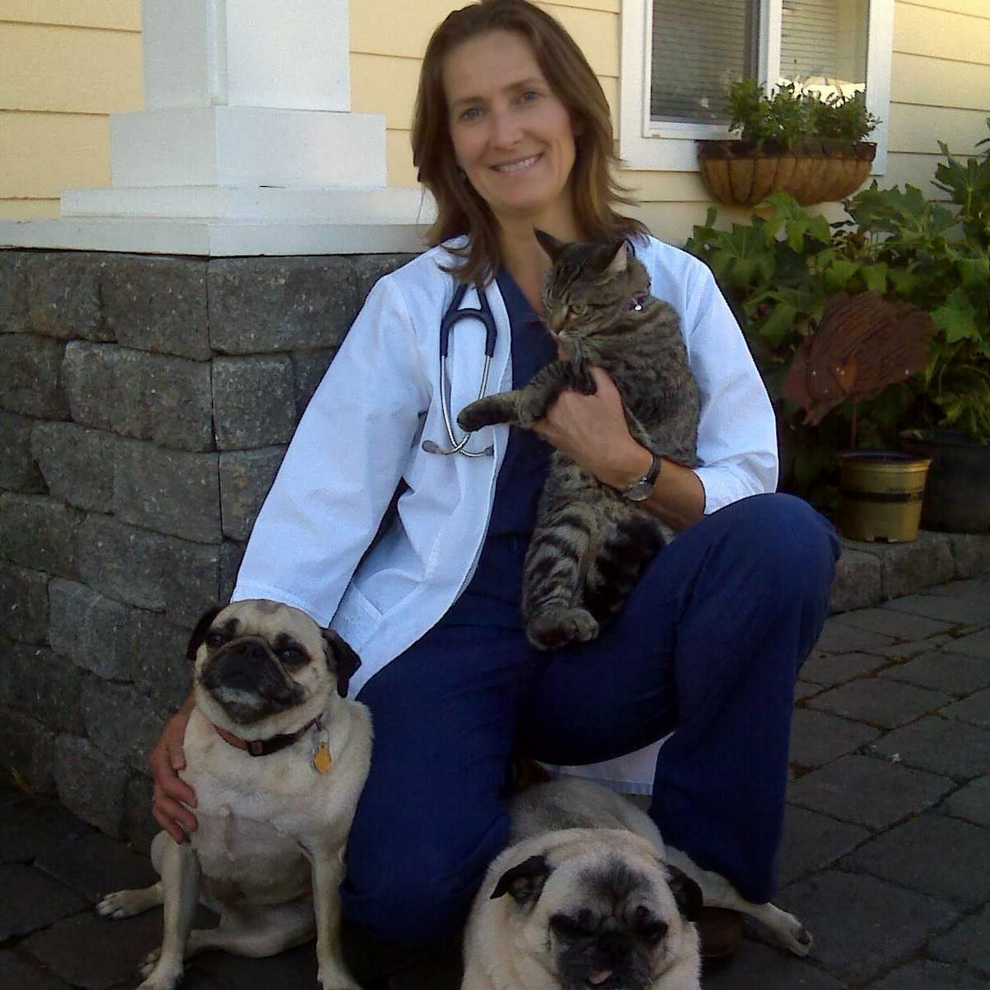 Islands Veterinary Clinic Friday Harbor