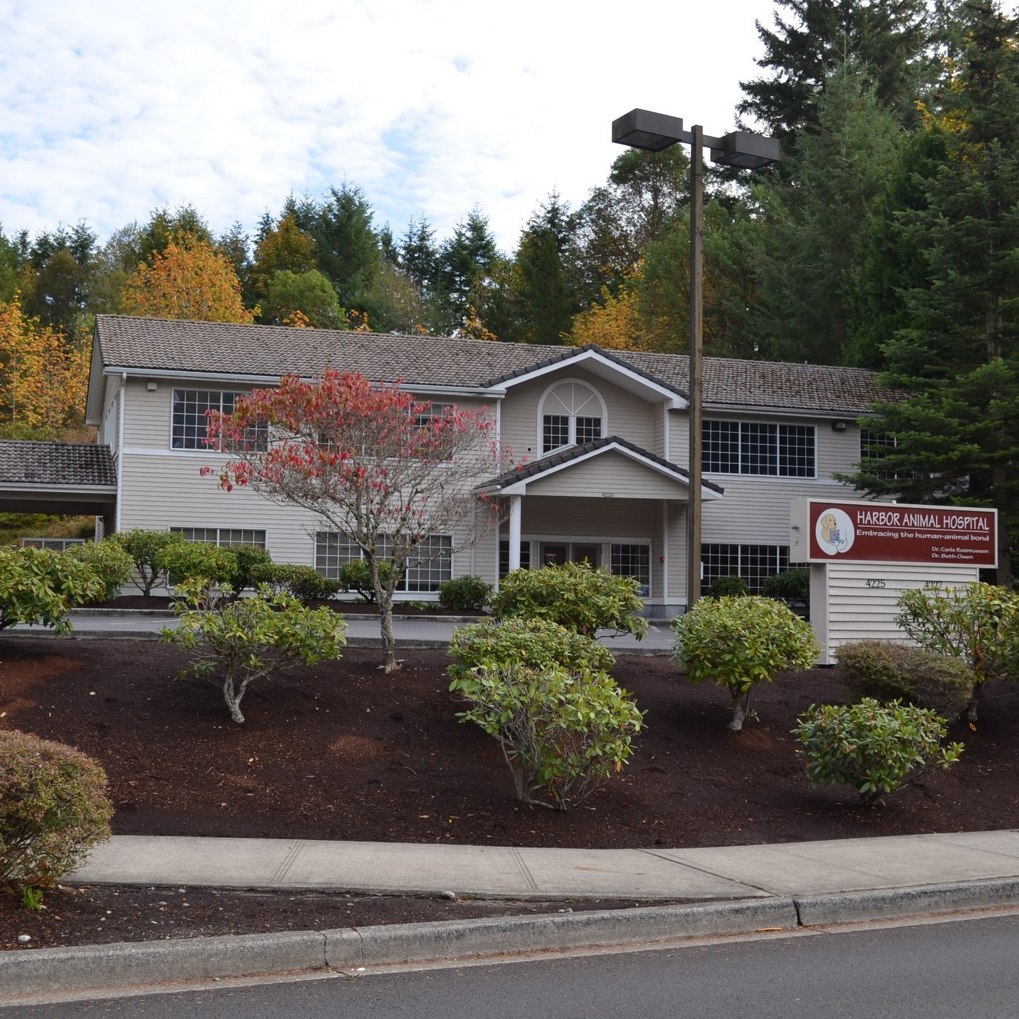 Harbor Animal Hospital Gig Harbor