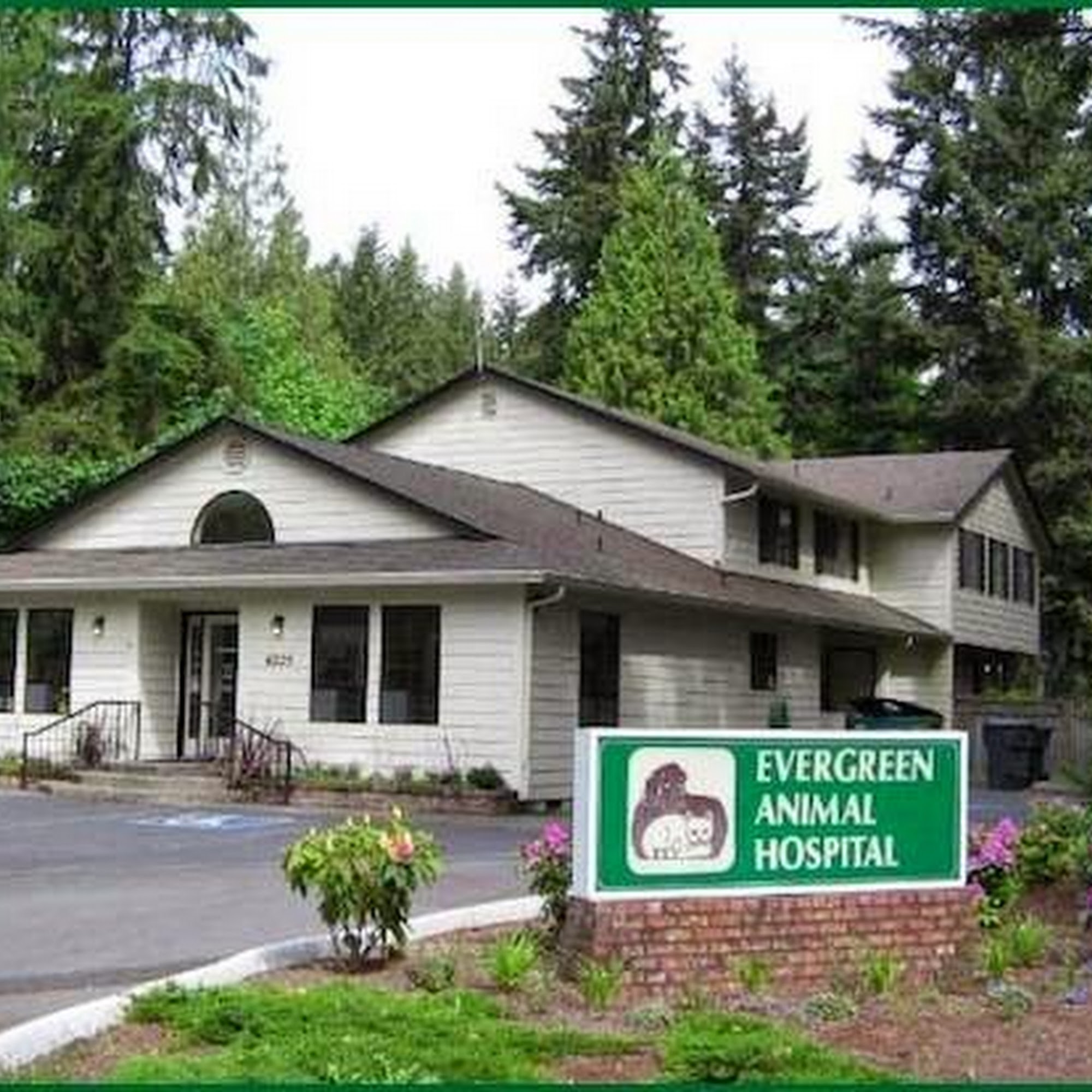 Evergreen Animal Hospital Gig Harbor
