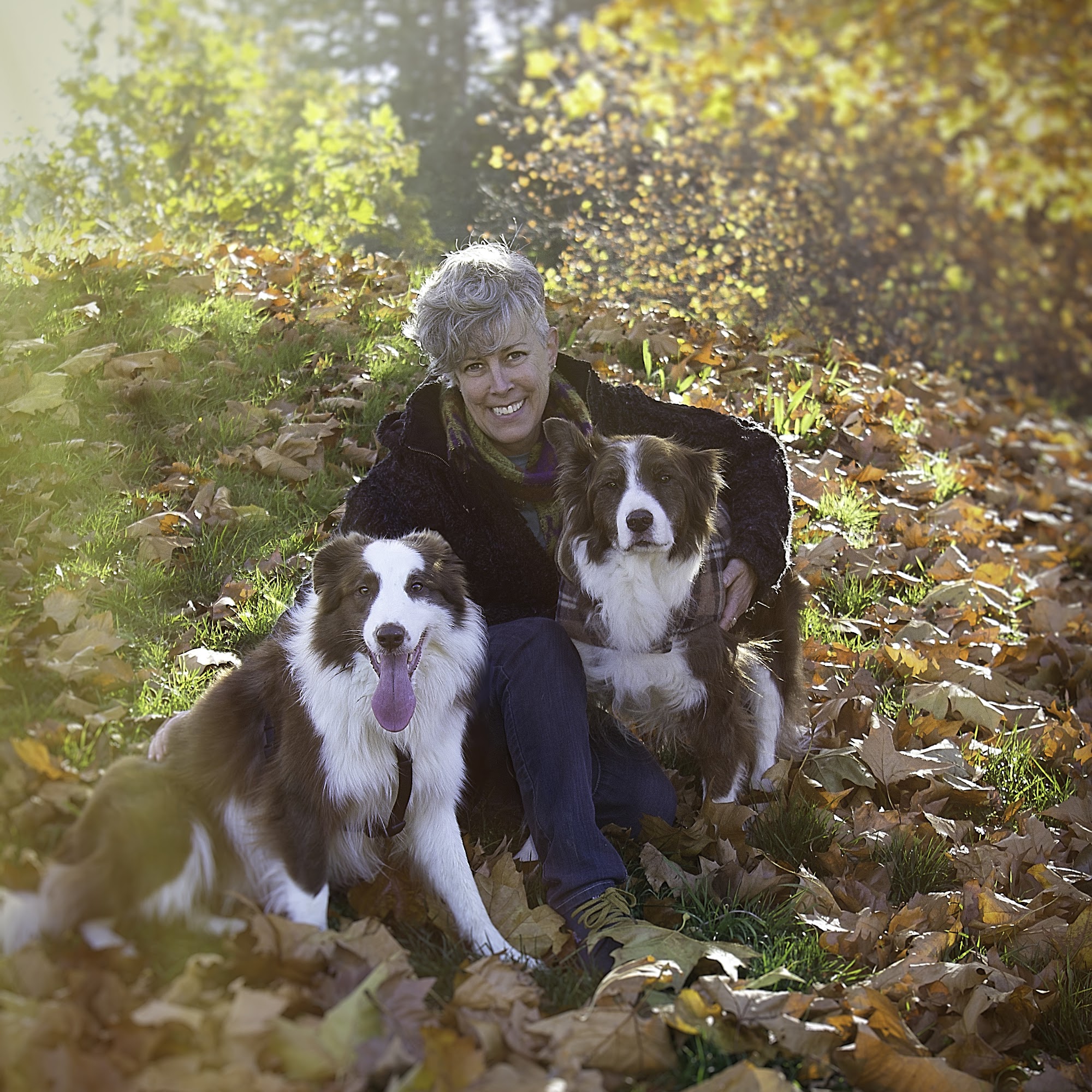 Sound Dog Connection Gig Harbor