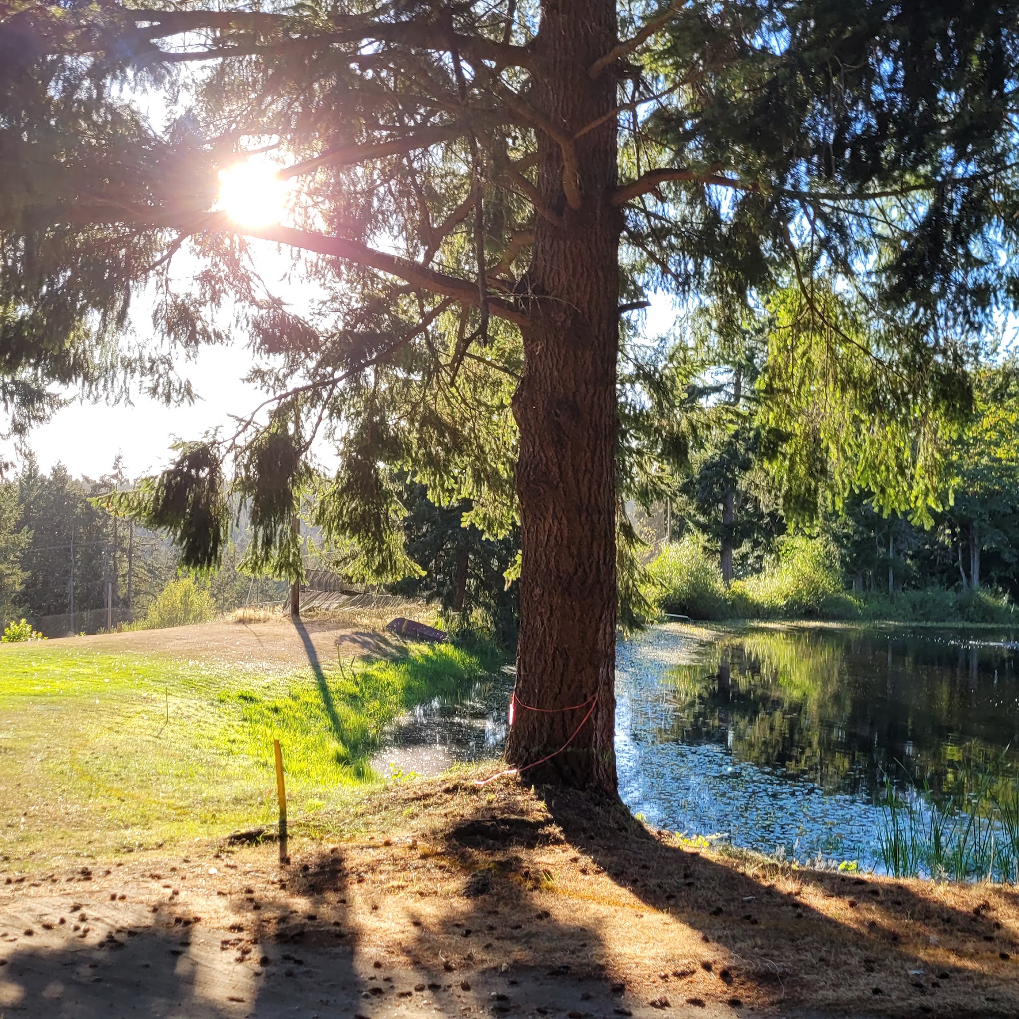 Gig Harbor Golf Club Gig Harbor