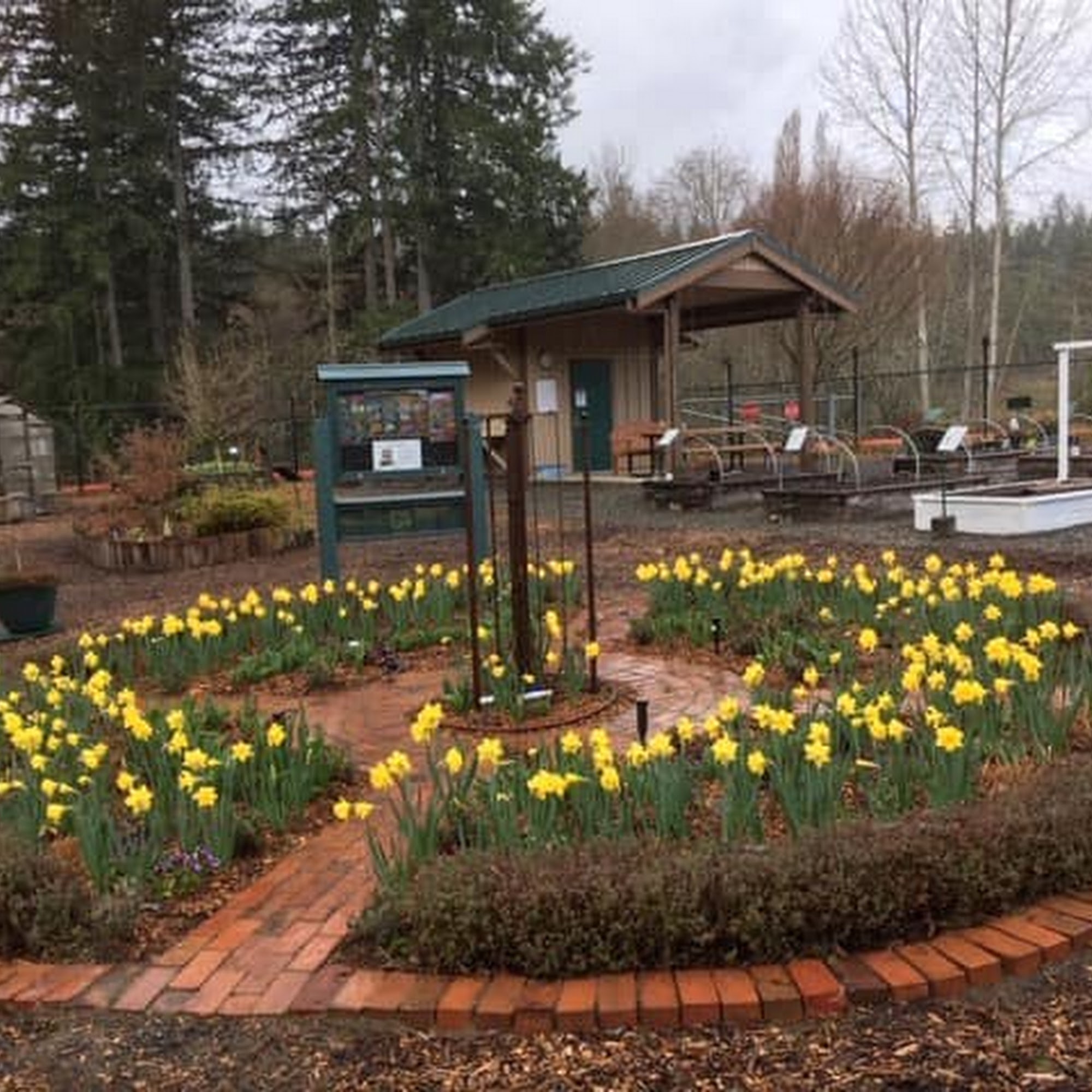 Pierce County Master Gardeners Gig Harbor Demonstration Garden Gig Harbor