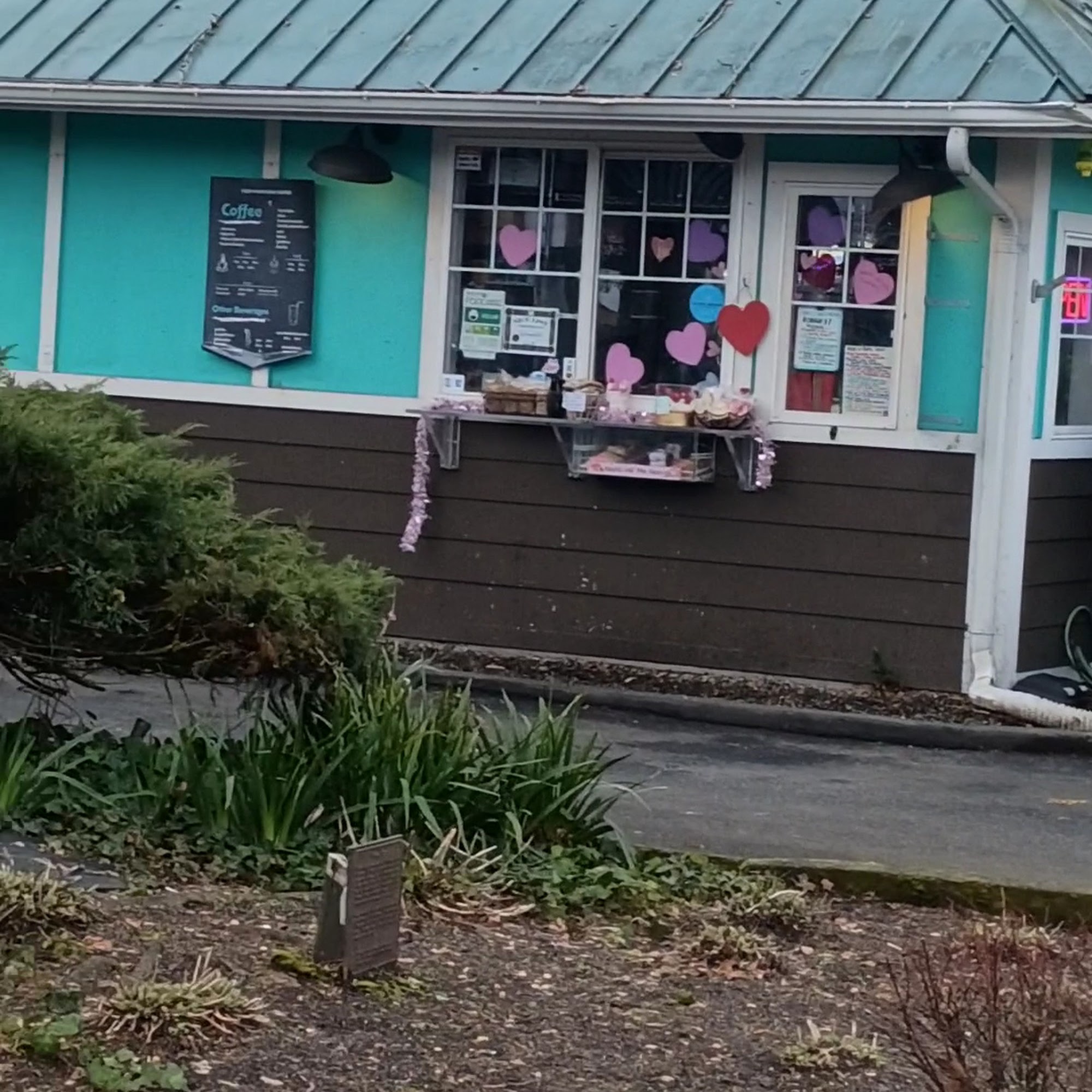 Tiger Mountain Coffee Issaquah