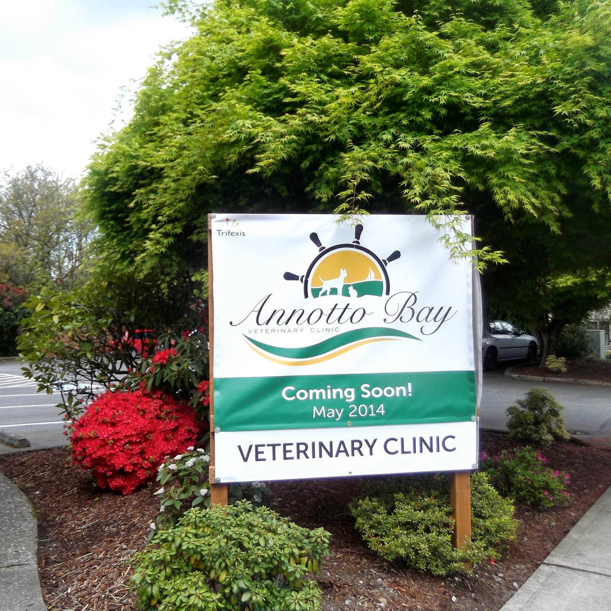 Annotto Bay Veterinary Clinic Issaquah