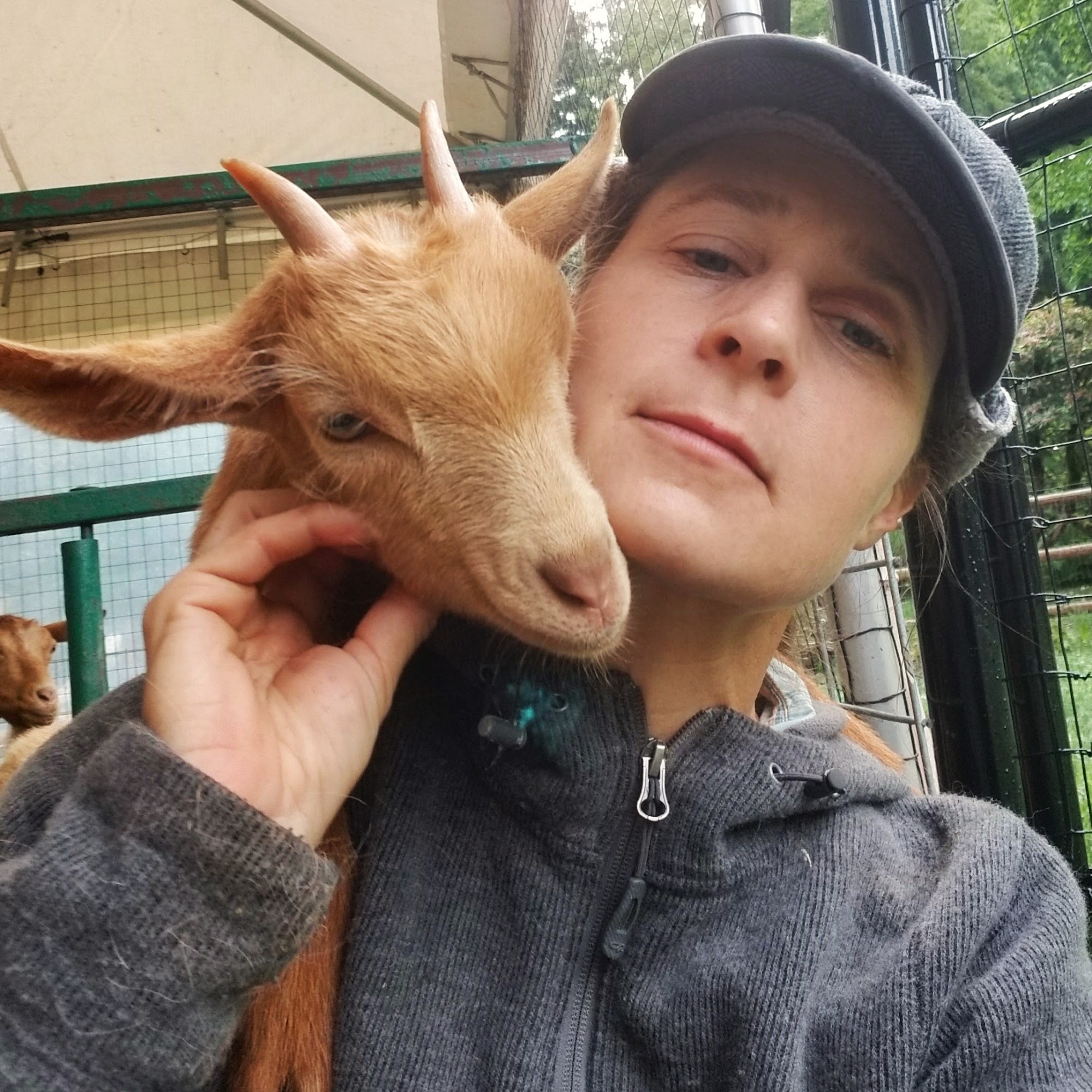 Owens Equine Issaquah