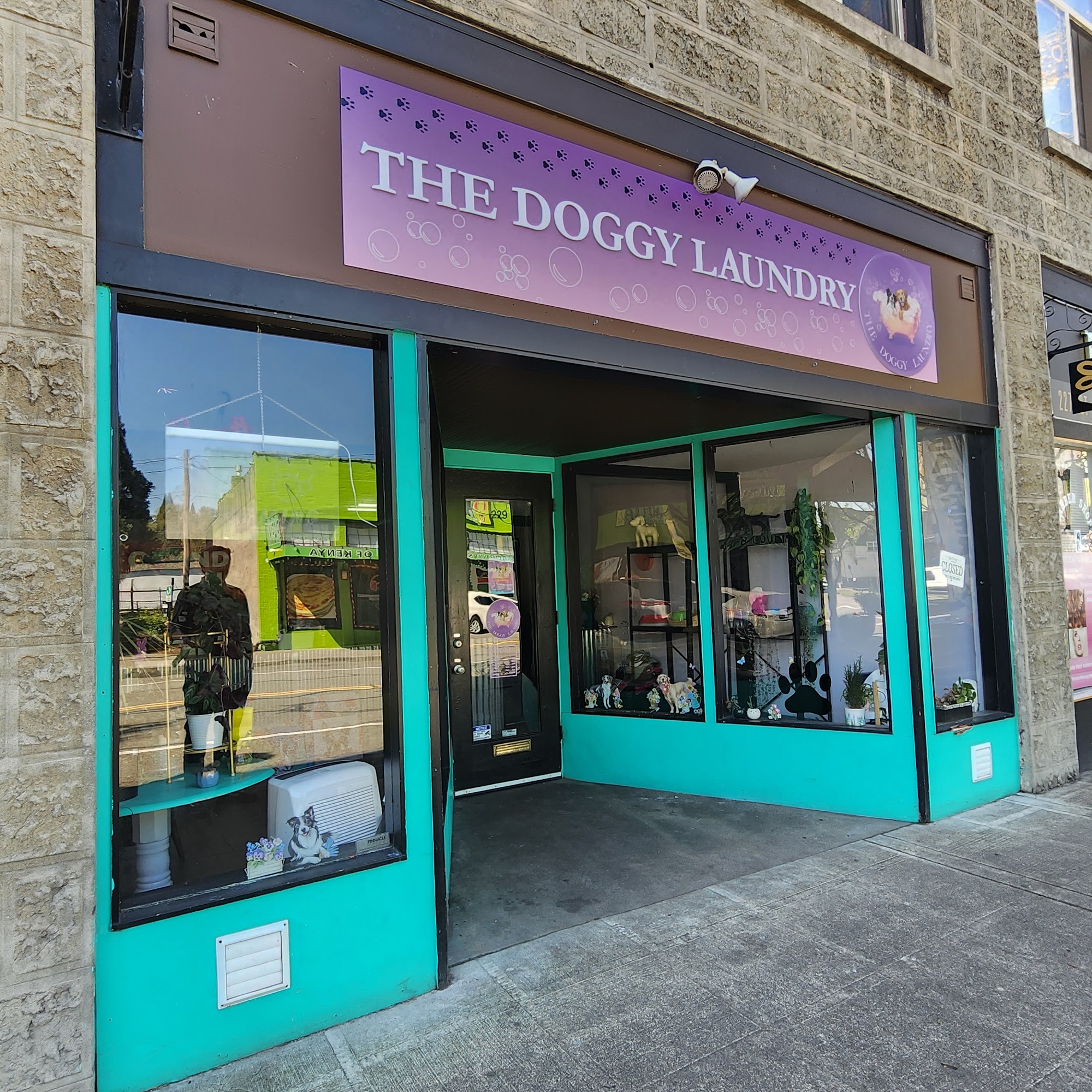 Green Dog Grooming LLC Kent