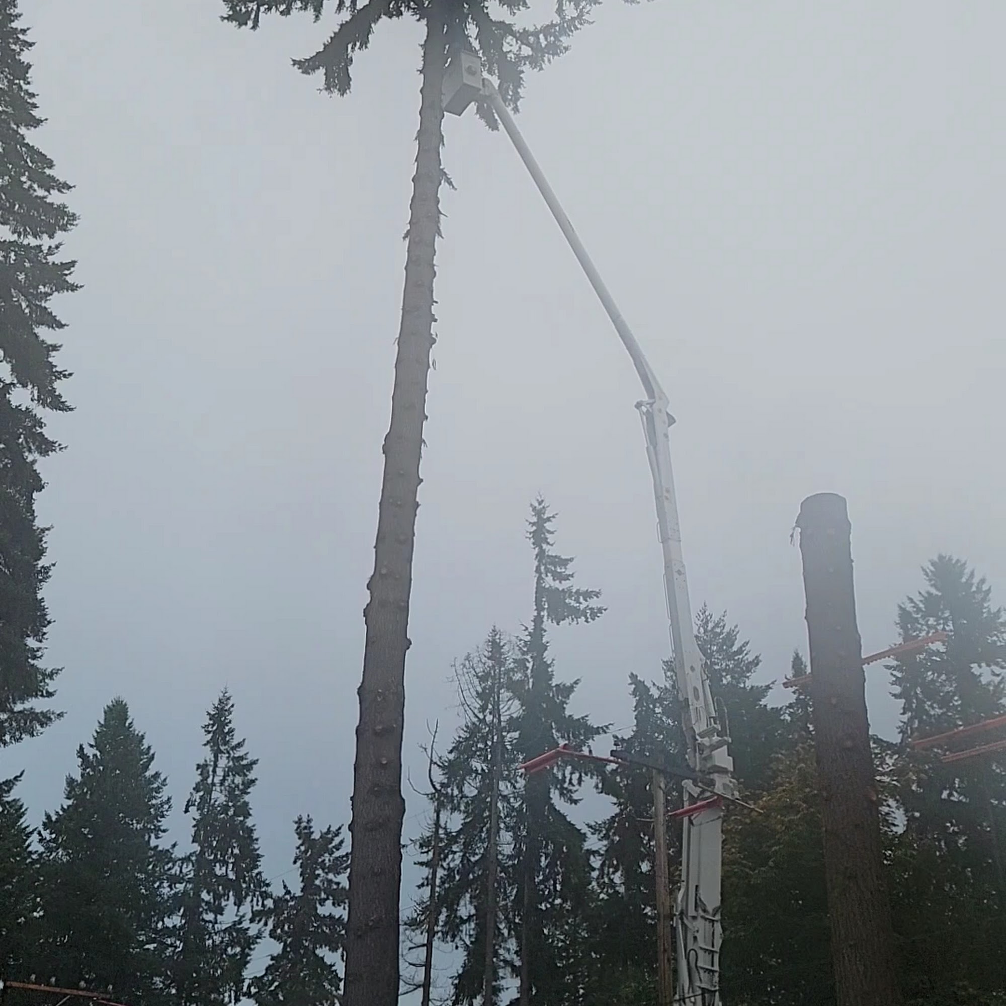 Soos Creek Kennels Kent