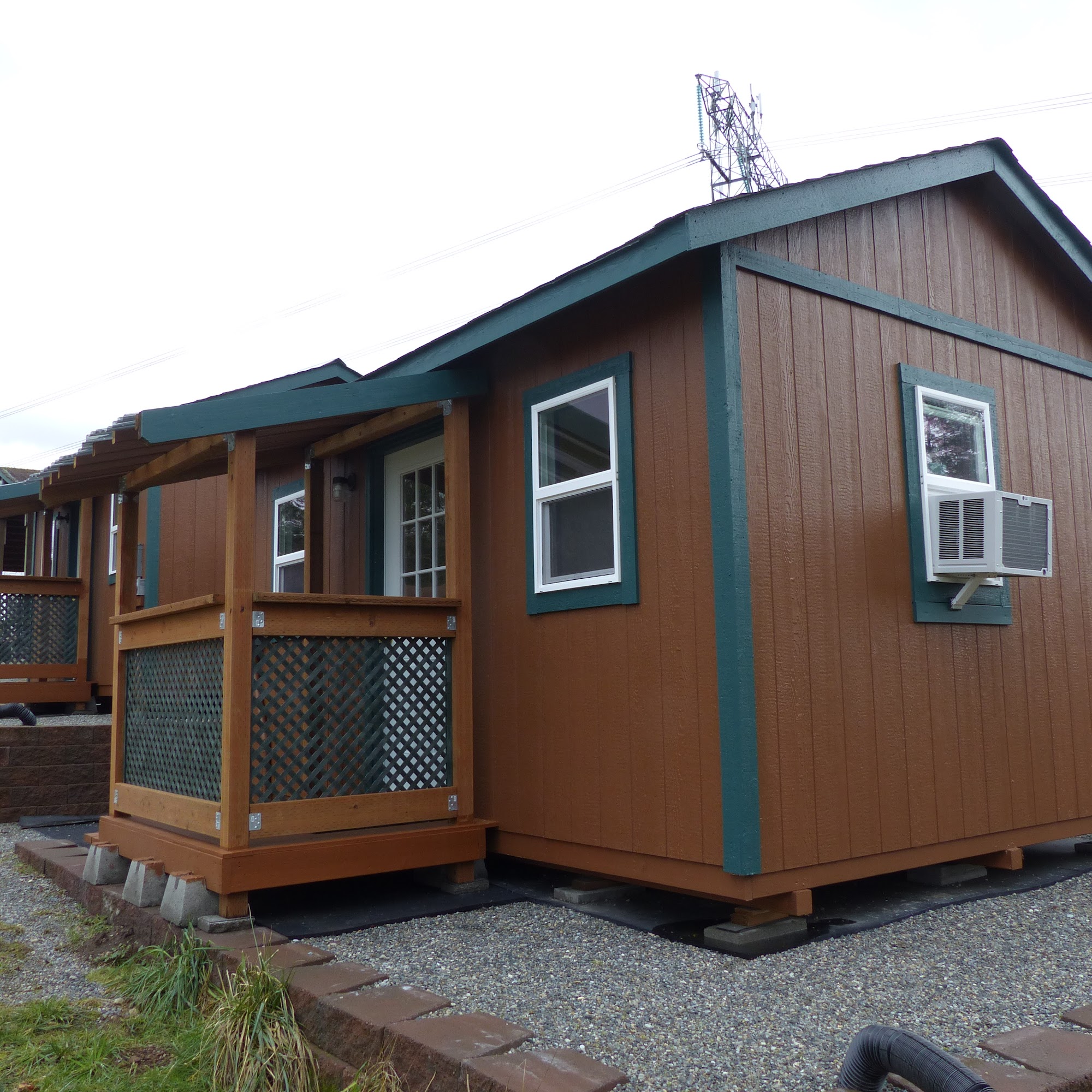 Cozy Kitties Inn Kent