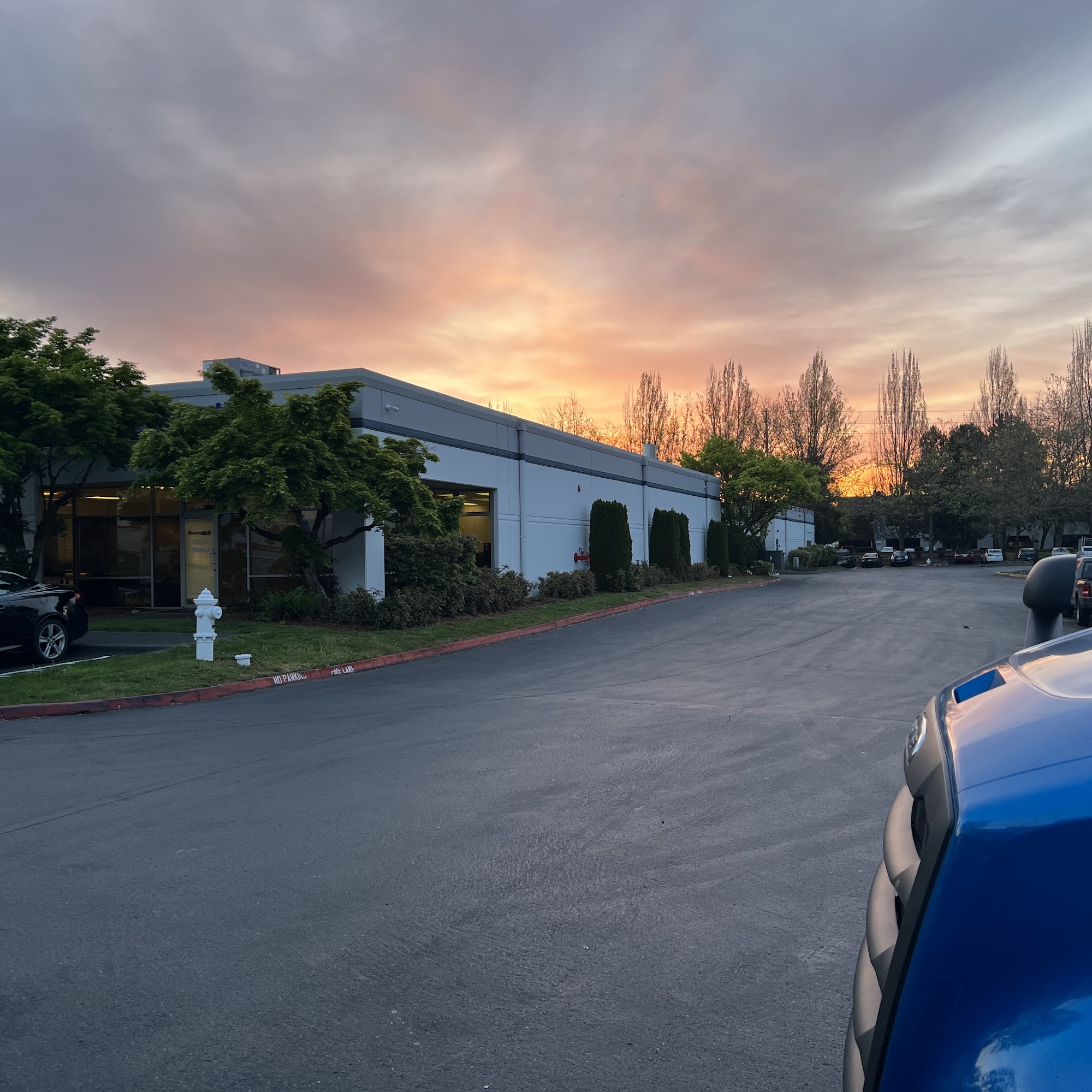 Innovative Solutions pollos Kent