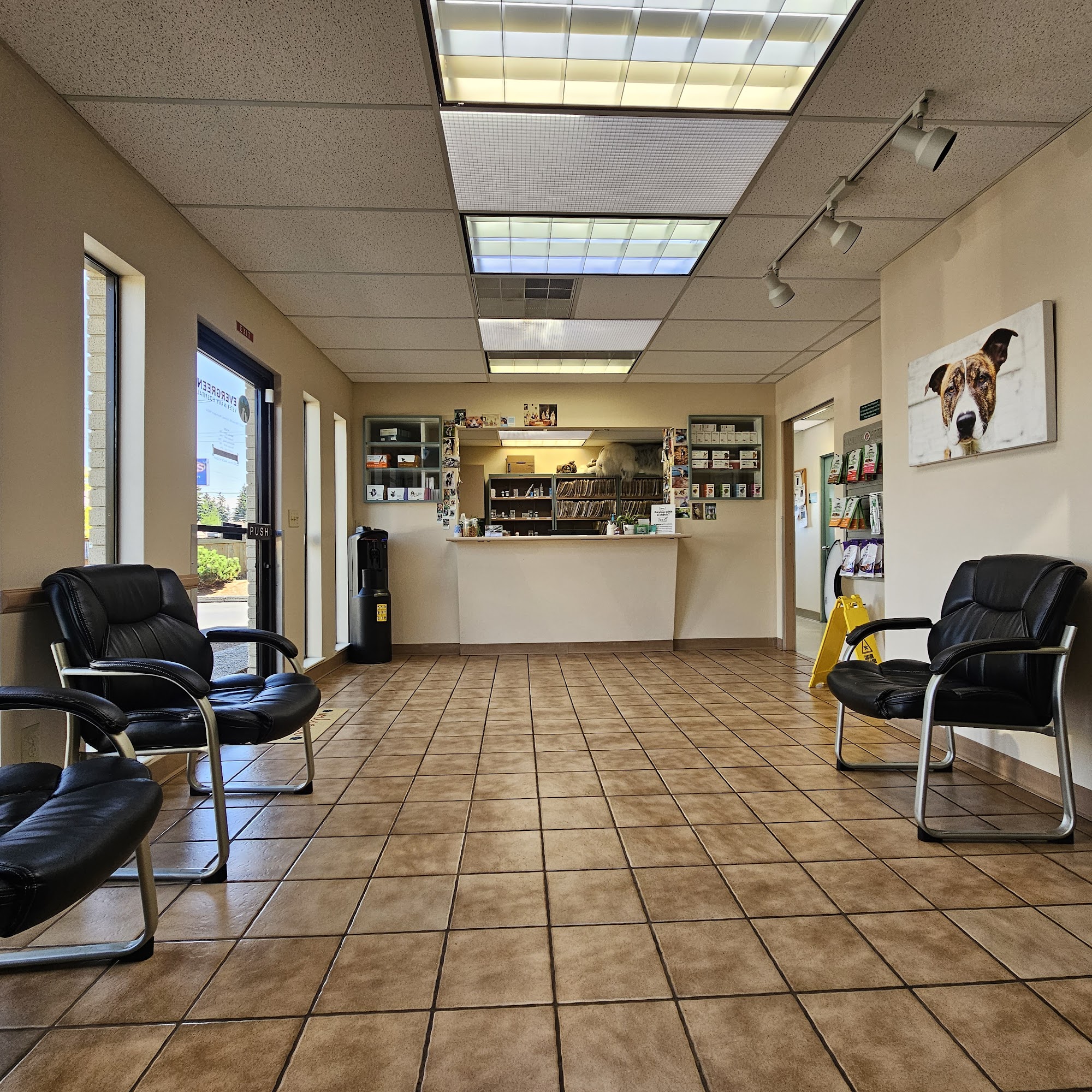 Evergreen Veterinary Hospital Kirkland