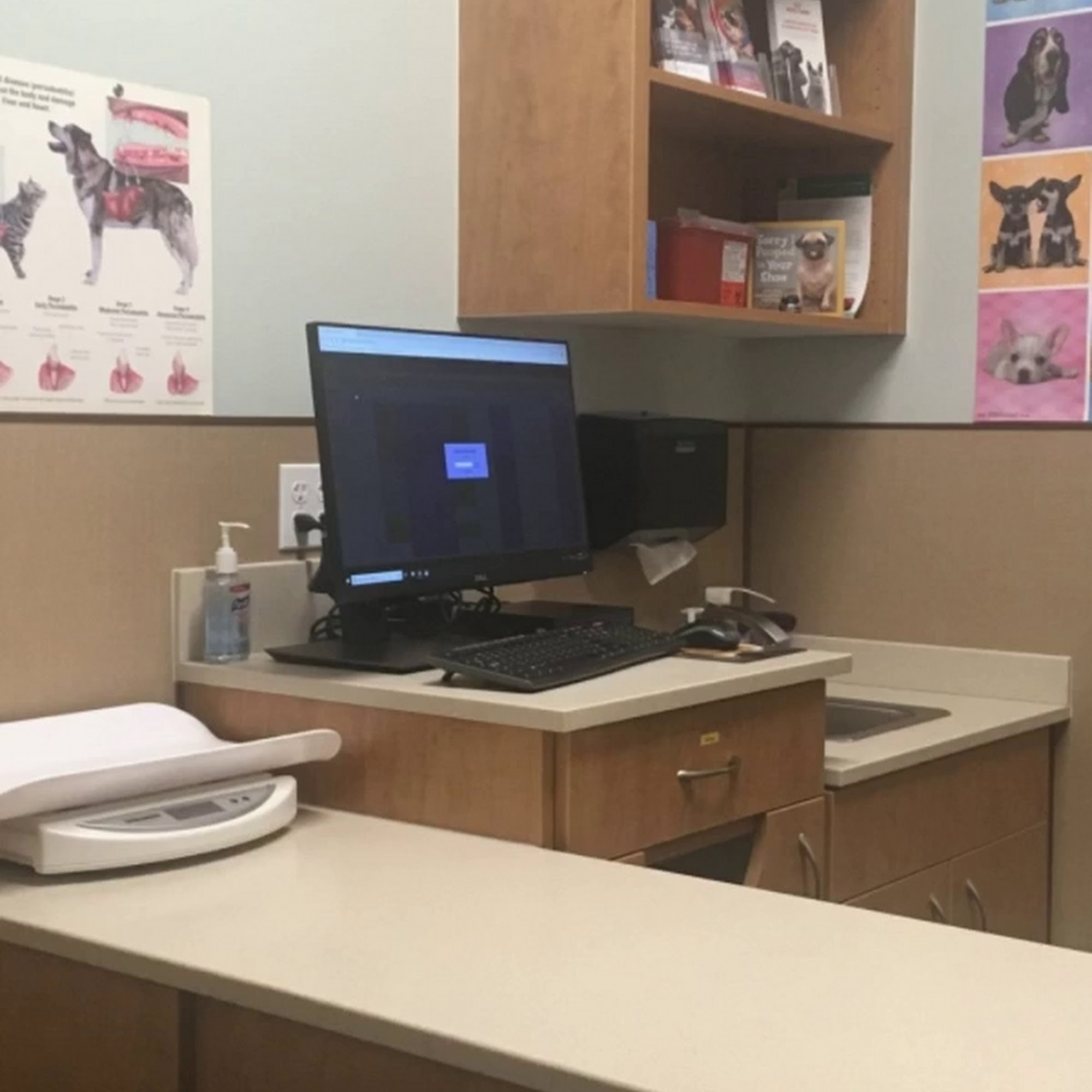 Juanita Hills Animal Hospital Kirkland